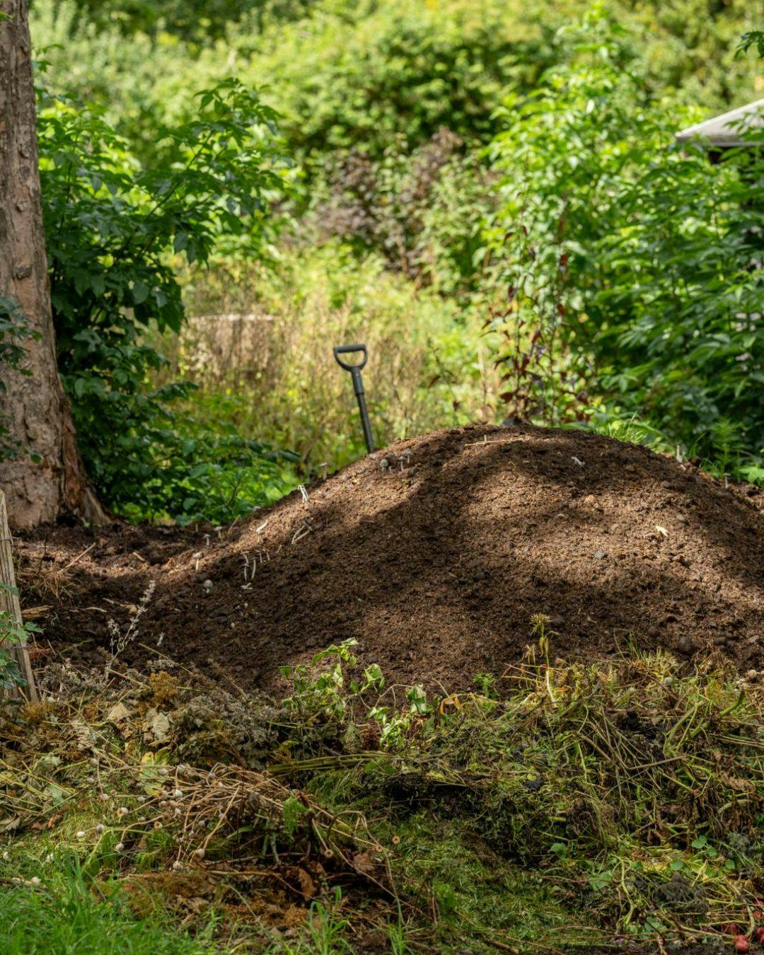 kompost styrker jordens indhold af humus og mikroliv