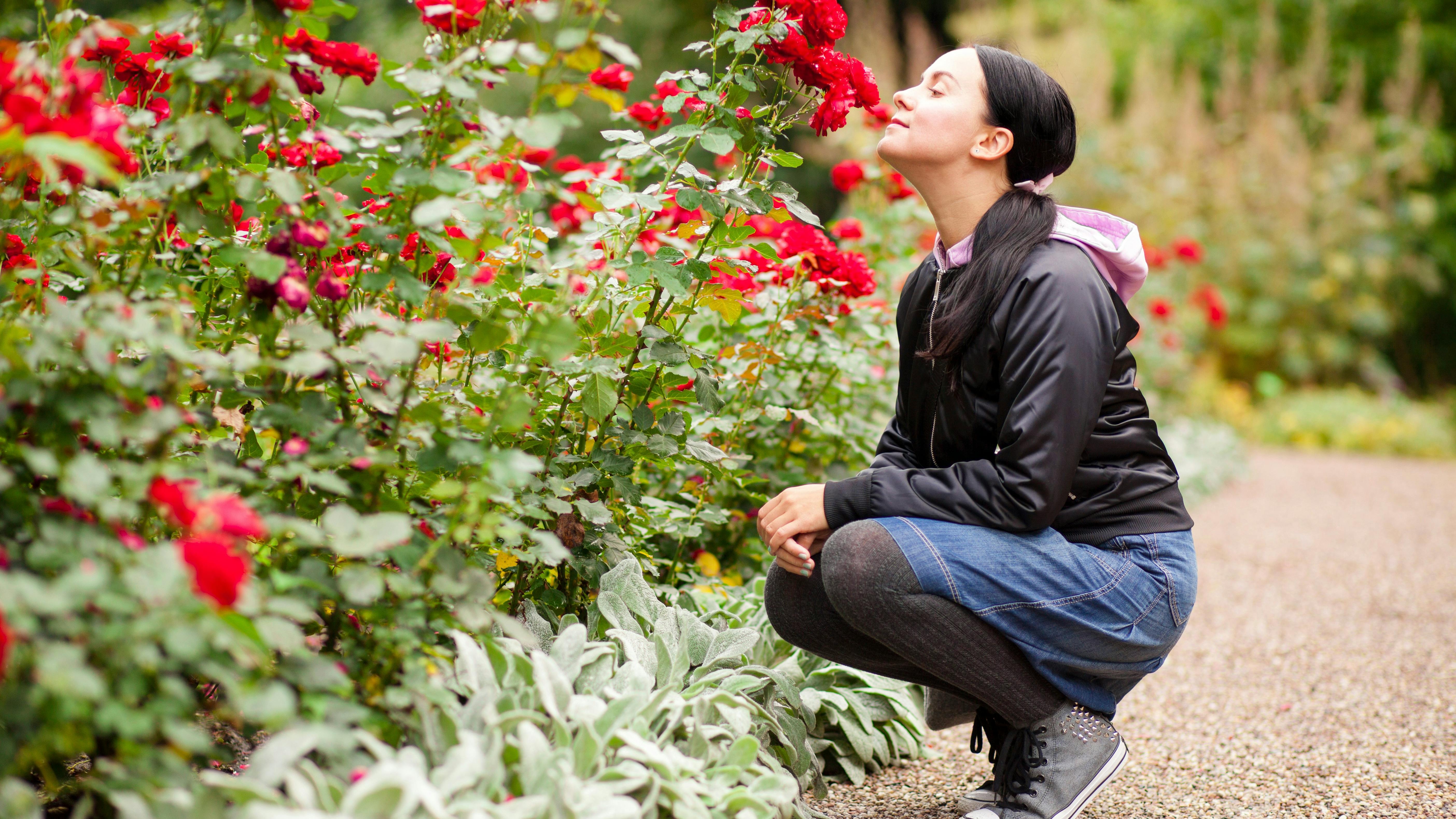 Kvinde dufter til blomsterbusk