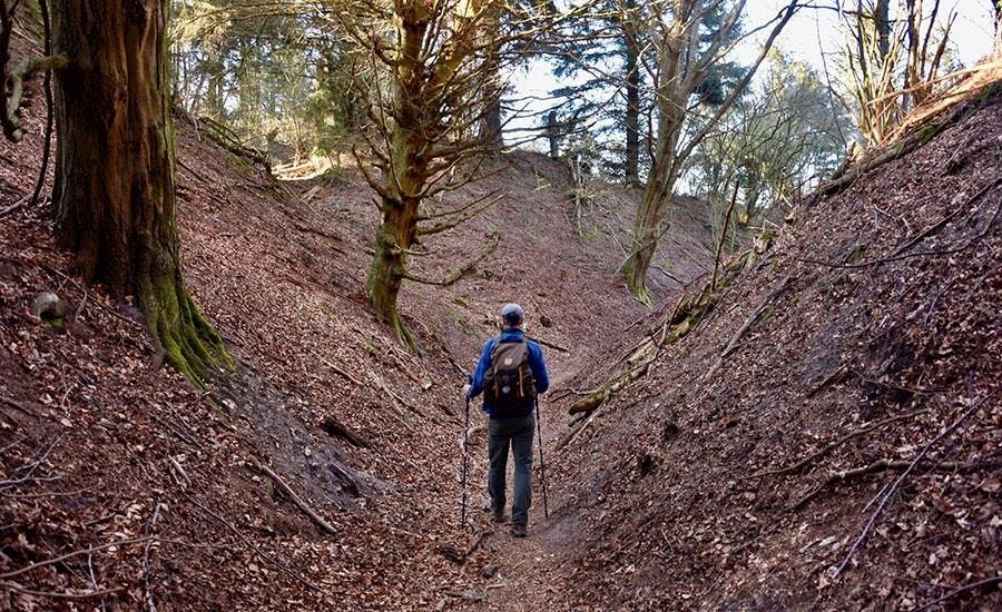 Nøddedalen i Jammerbugt Kommune, hvor der er absolut ingen støj.