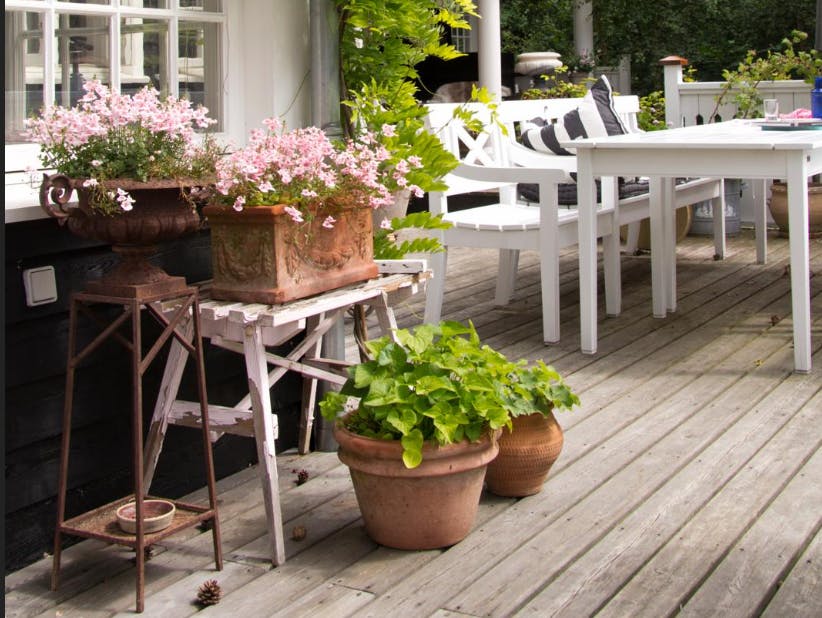 Terrasse med krukker med blomster og urter. 