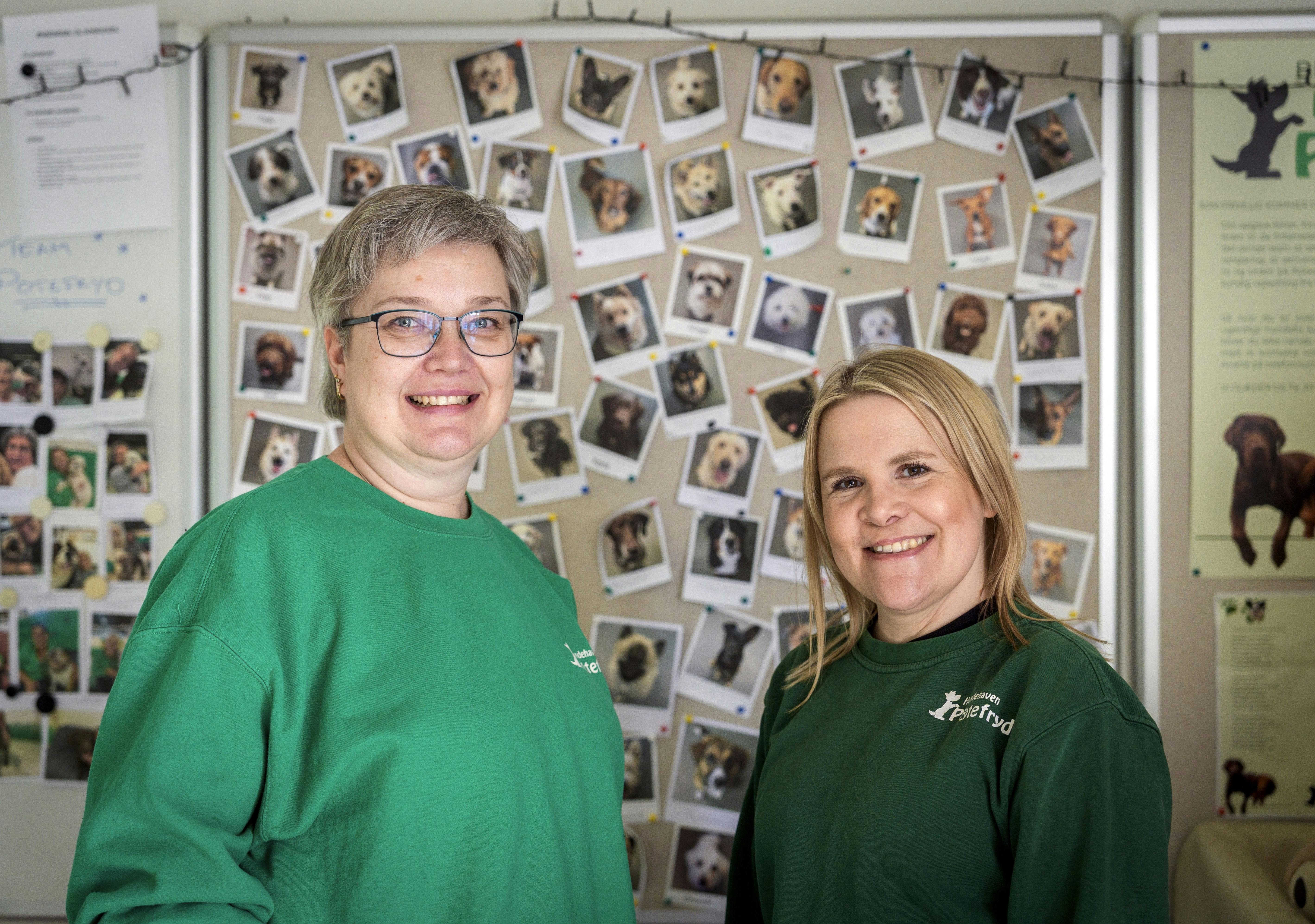 Den daglige leder af Potefryd, Anette Kaas van Gucht, og medarbejder Ida Andersen foran tavlen med billeder og navne på hundene, der har deres gang på stedet.