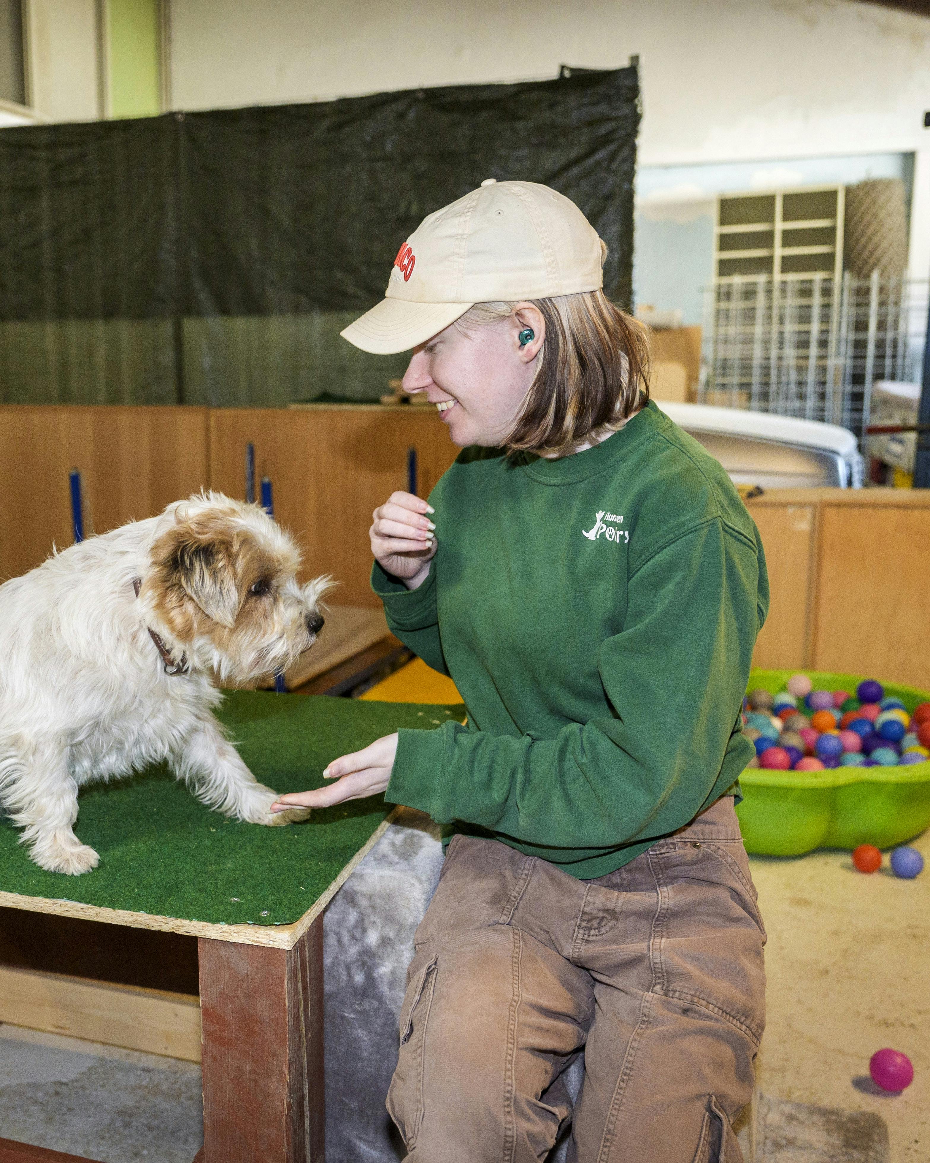 Praktikant Marie Adamsen træner hunden Diesel i sansehaven på Hundehaven Potefryd i Brabrand.