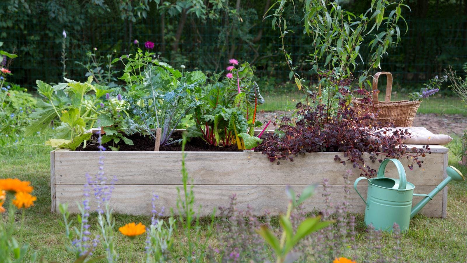 Højbed med afgrøder