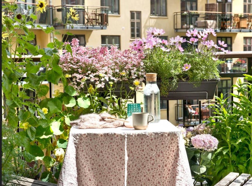 Blomstrende altan