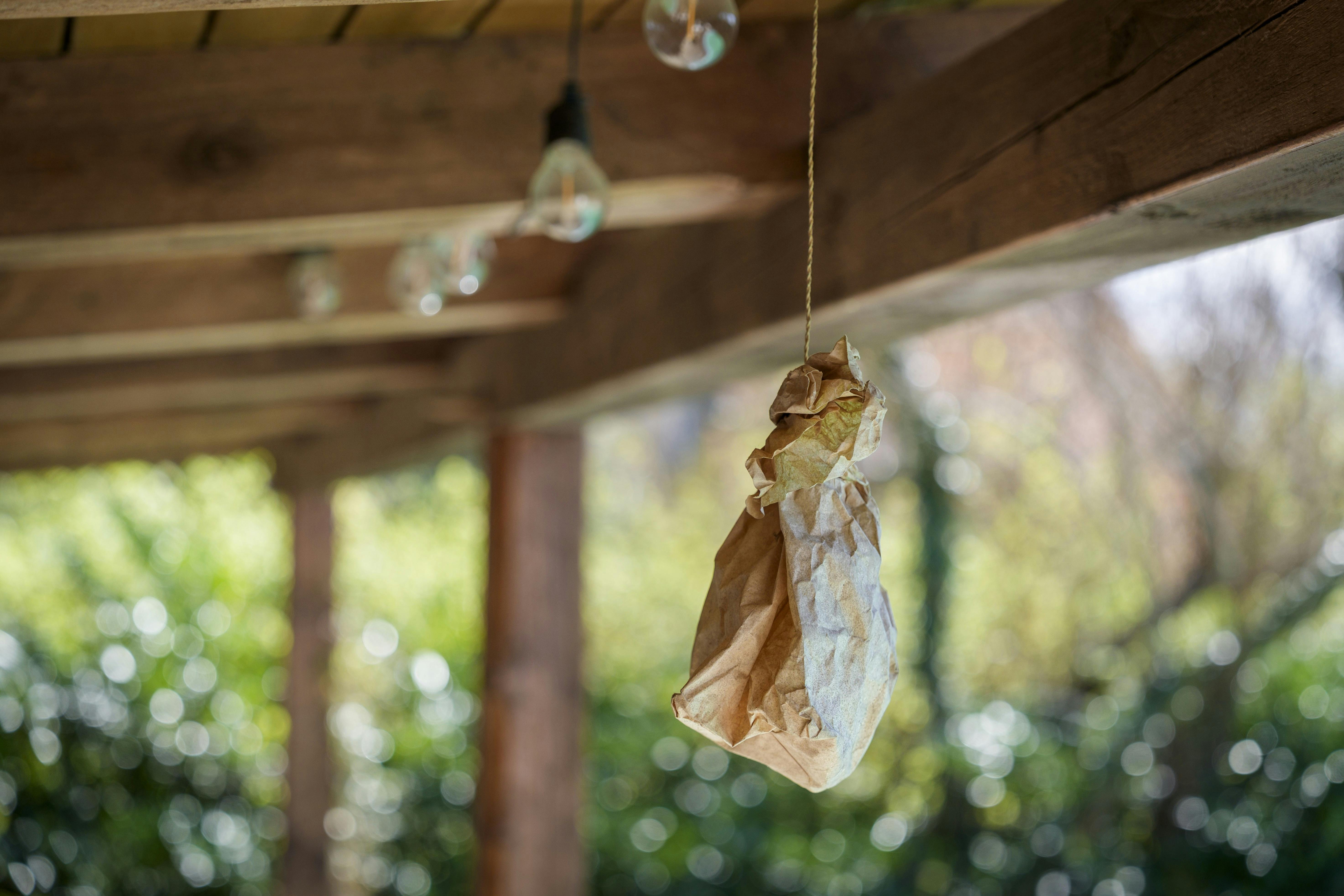 TIP: Nok er Michael glad for hvepse, men han vil ikke have dem i maden. En brun papirpose hængt op i en snor får hvepse og bier til at tro, at der allerede er et bo.