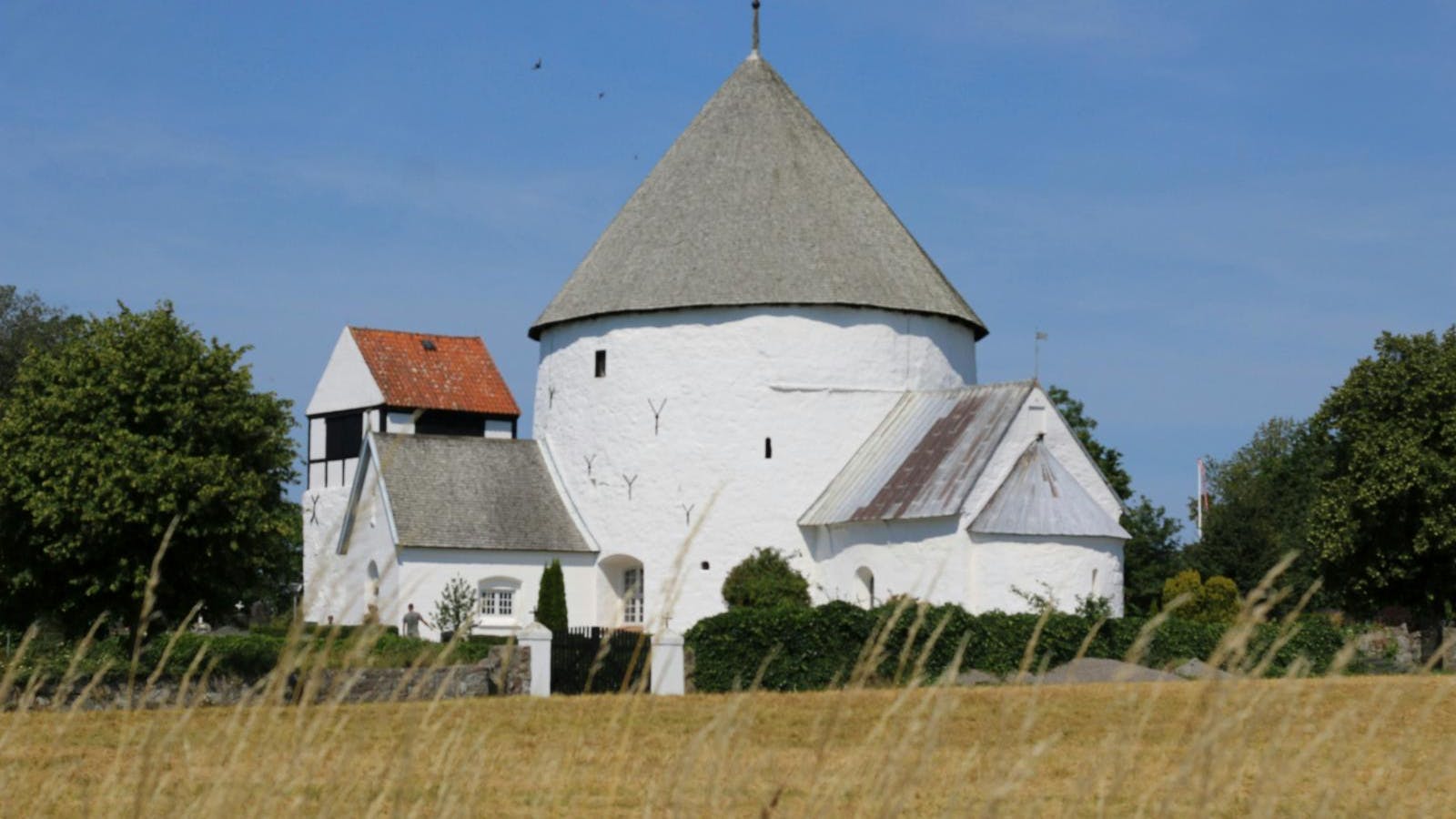 Rundkirke på Bornholm omgivet af kornmarker.