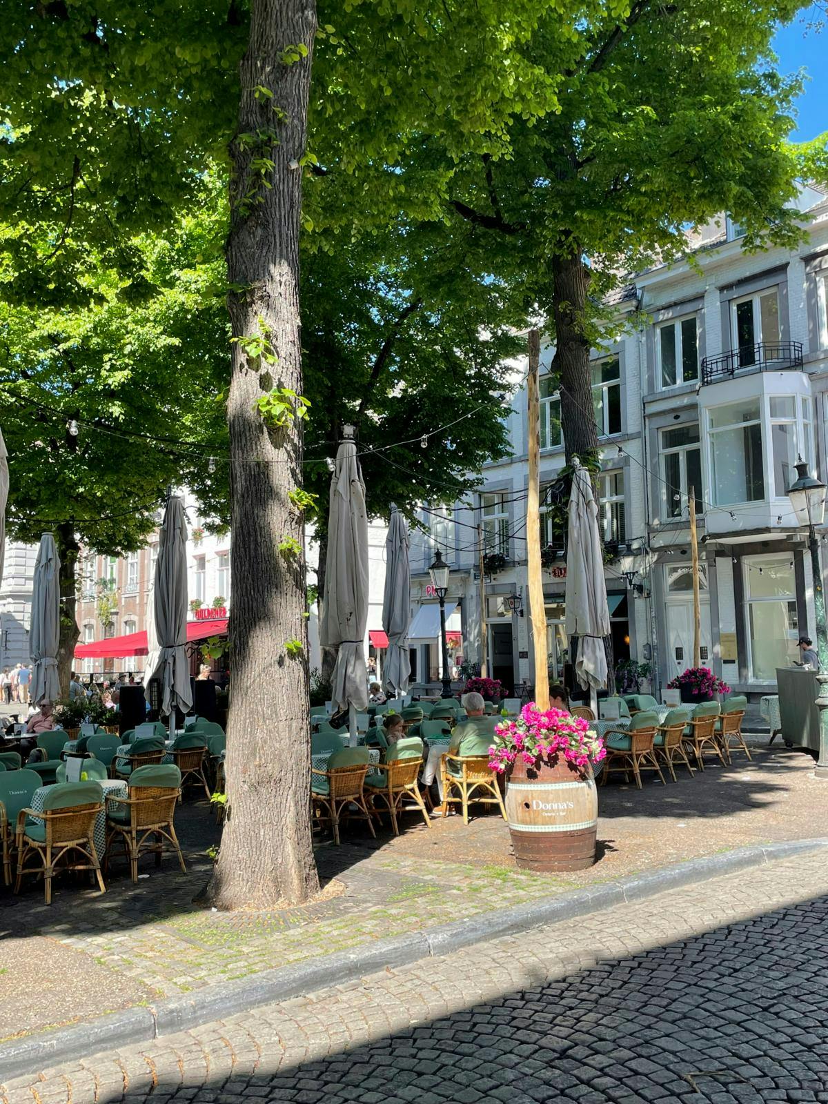 Torv med træer og blomster i krukker.