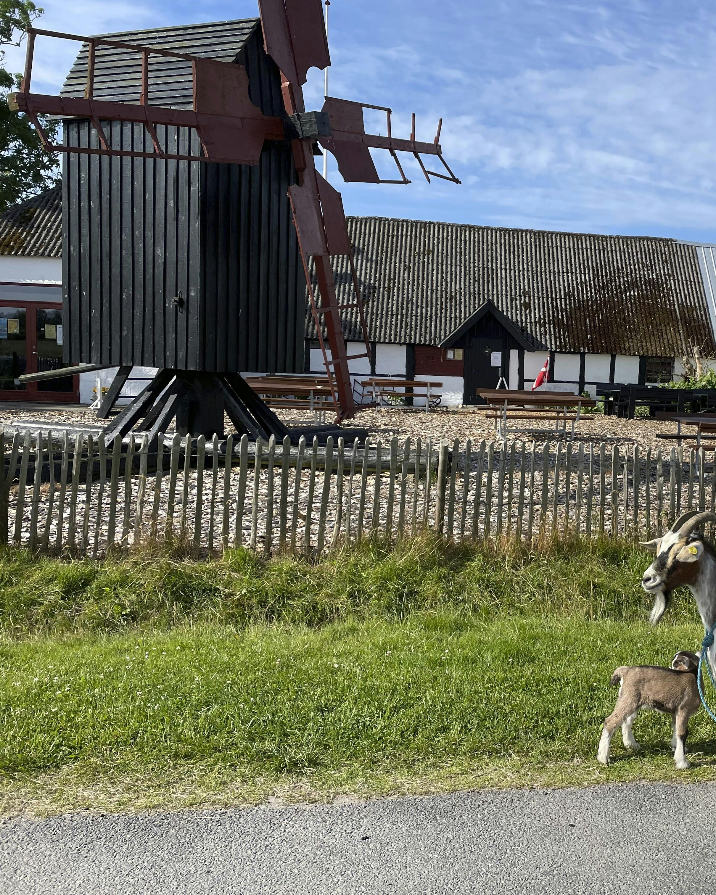 På besøg i Storhaven på Læsø