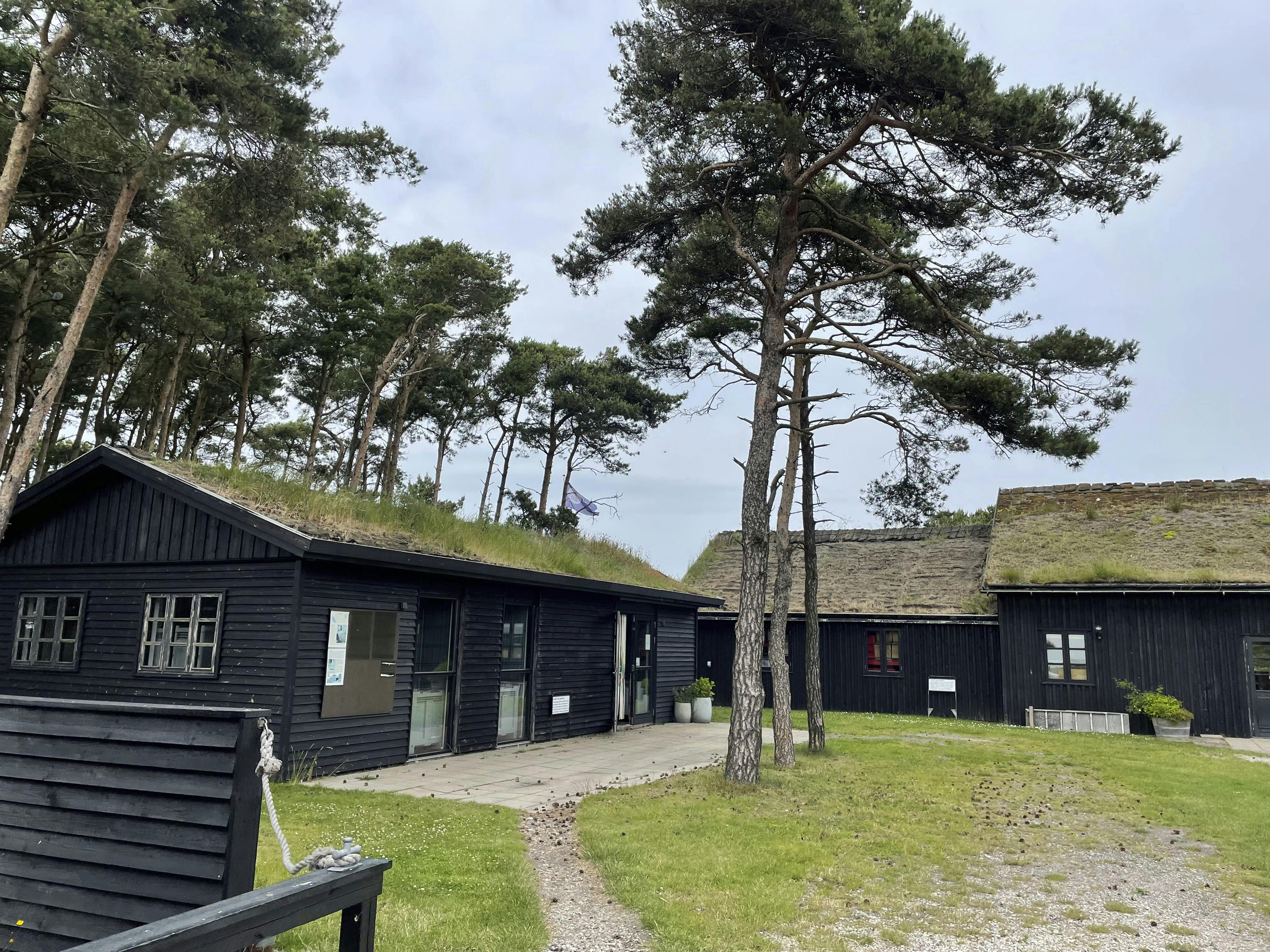Læsø Sydesalt
