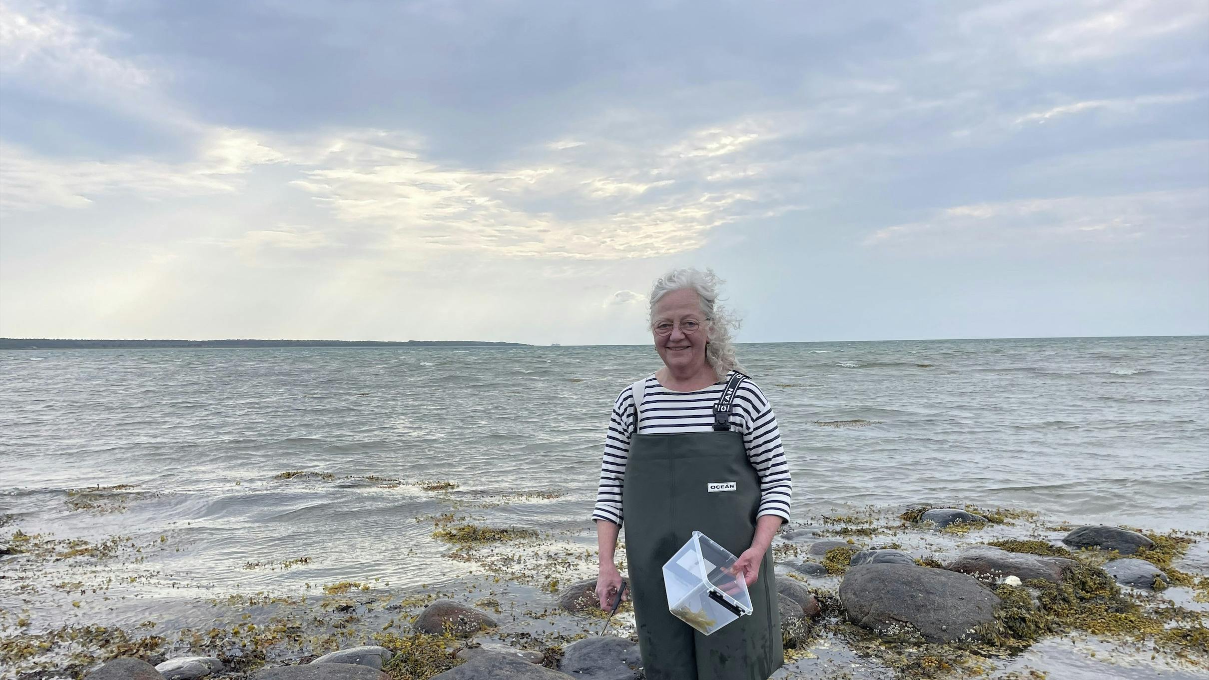 Tangsafari på Læsø.