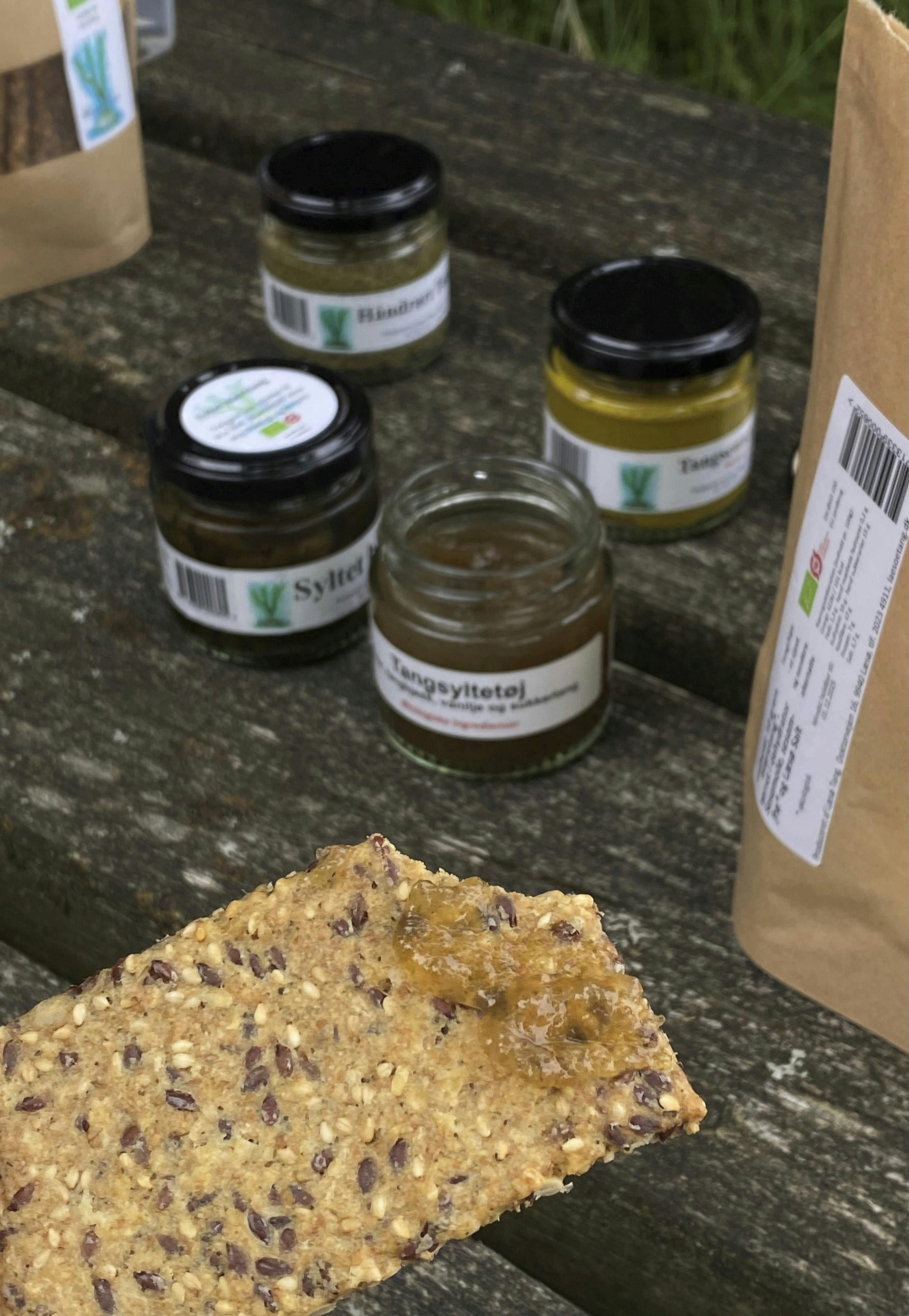 Tangsafari på Læsø.