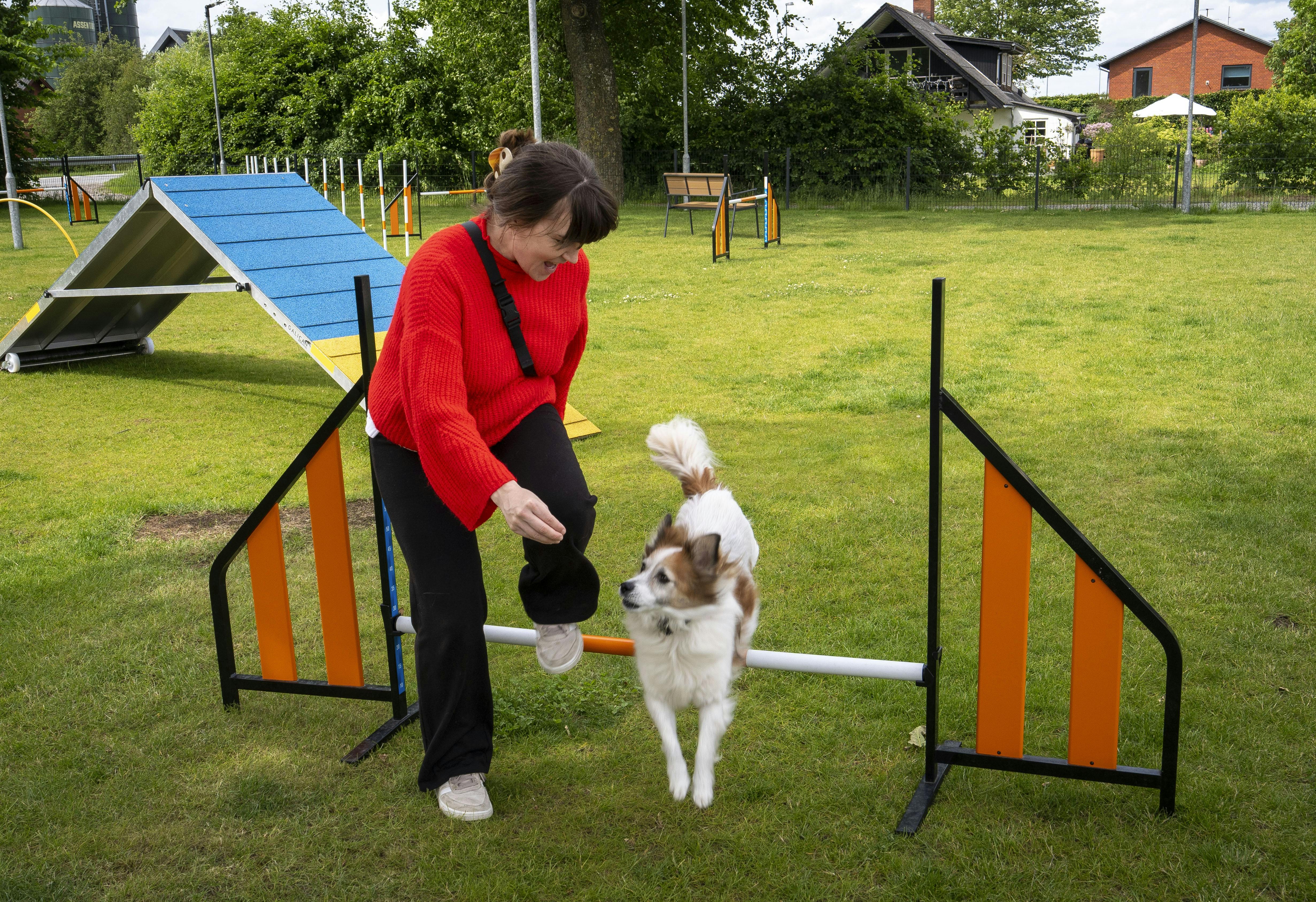 Hunden Billy og mennesket Karna tester hundekroens legeplads, hvor det viser sig, at man faktisk godt kan lære en gammel hund nye tricks - i hvert fald hvis der er godbidder involveret.