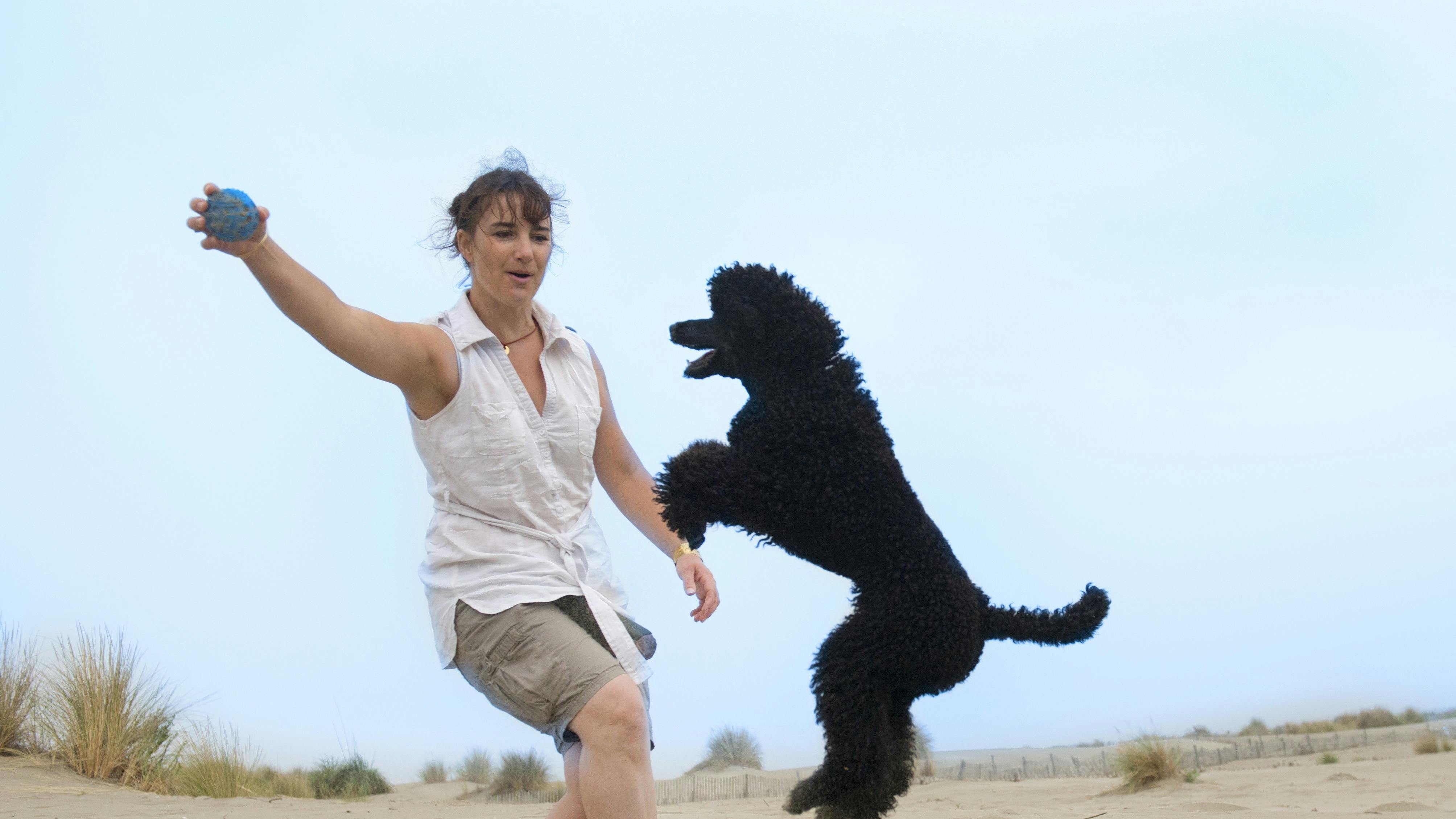 Kvinde og hund, der leger