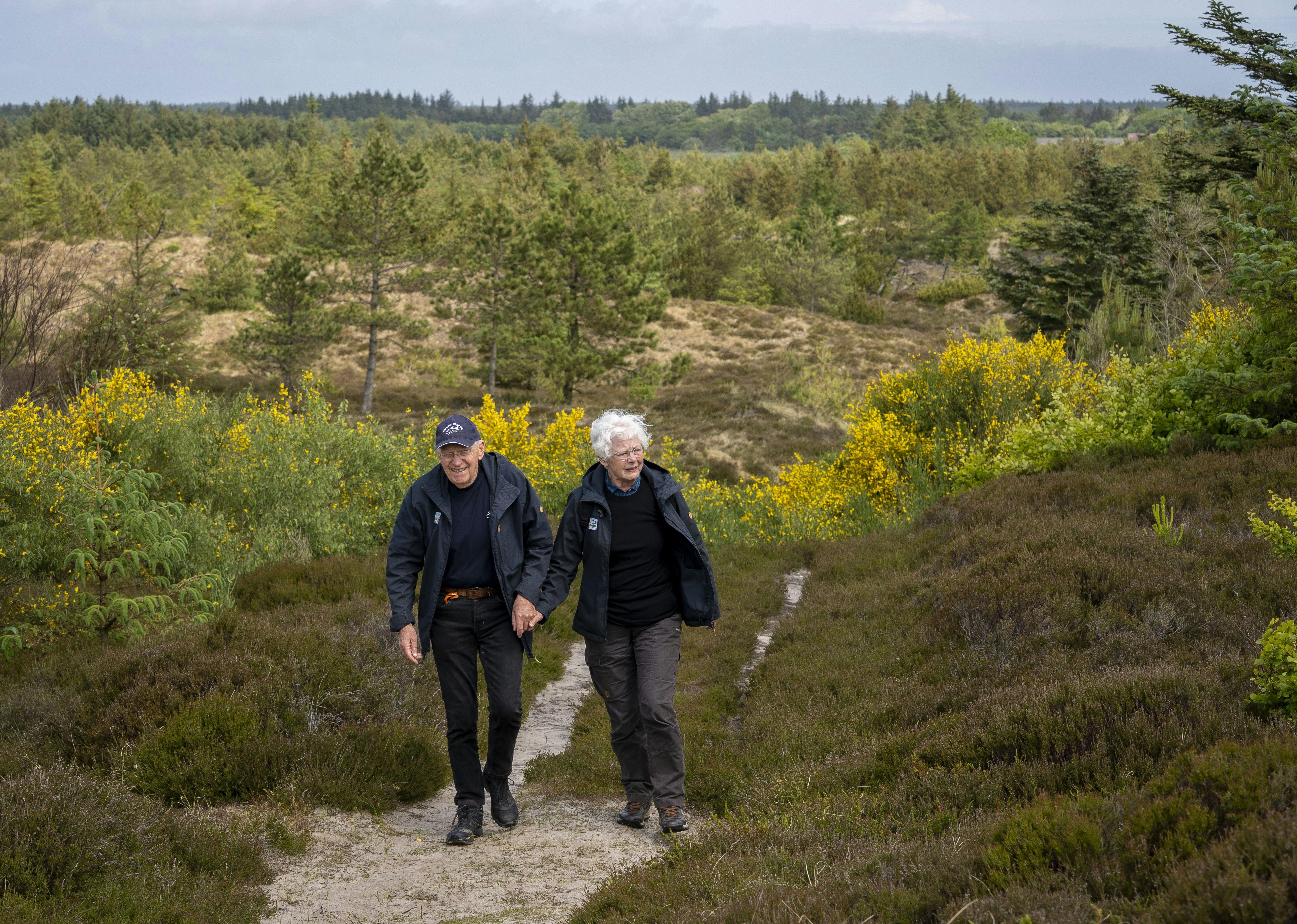 Klitheden er den del af Nationalpark Thy, som Else Roesgaard holder allermest af. 