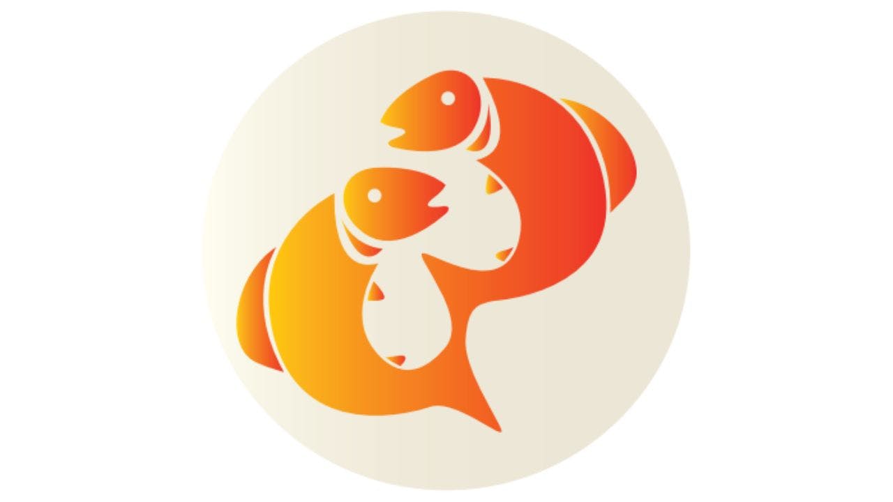 To orange fisk