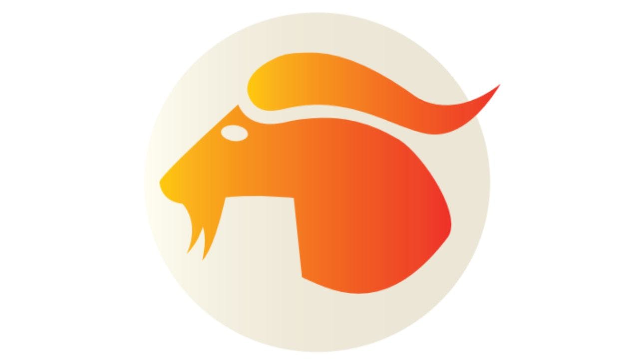 Orange stenbuk i profil