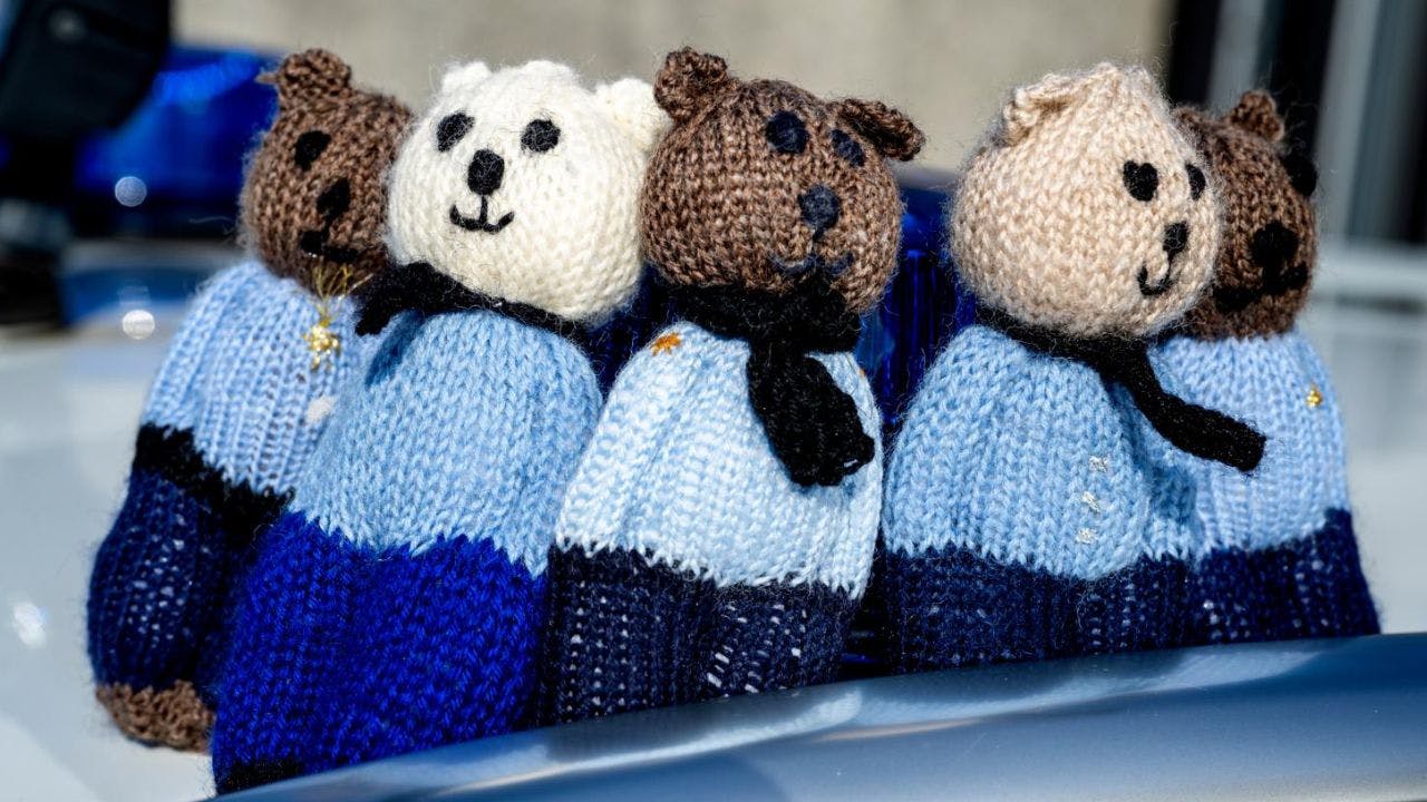 Bamser til Nordjyllands Politi