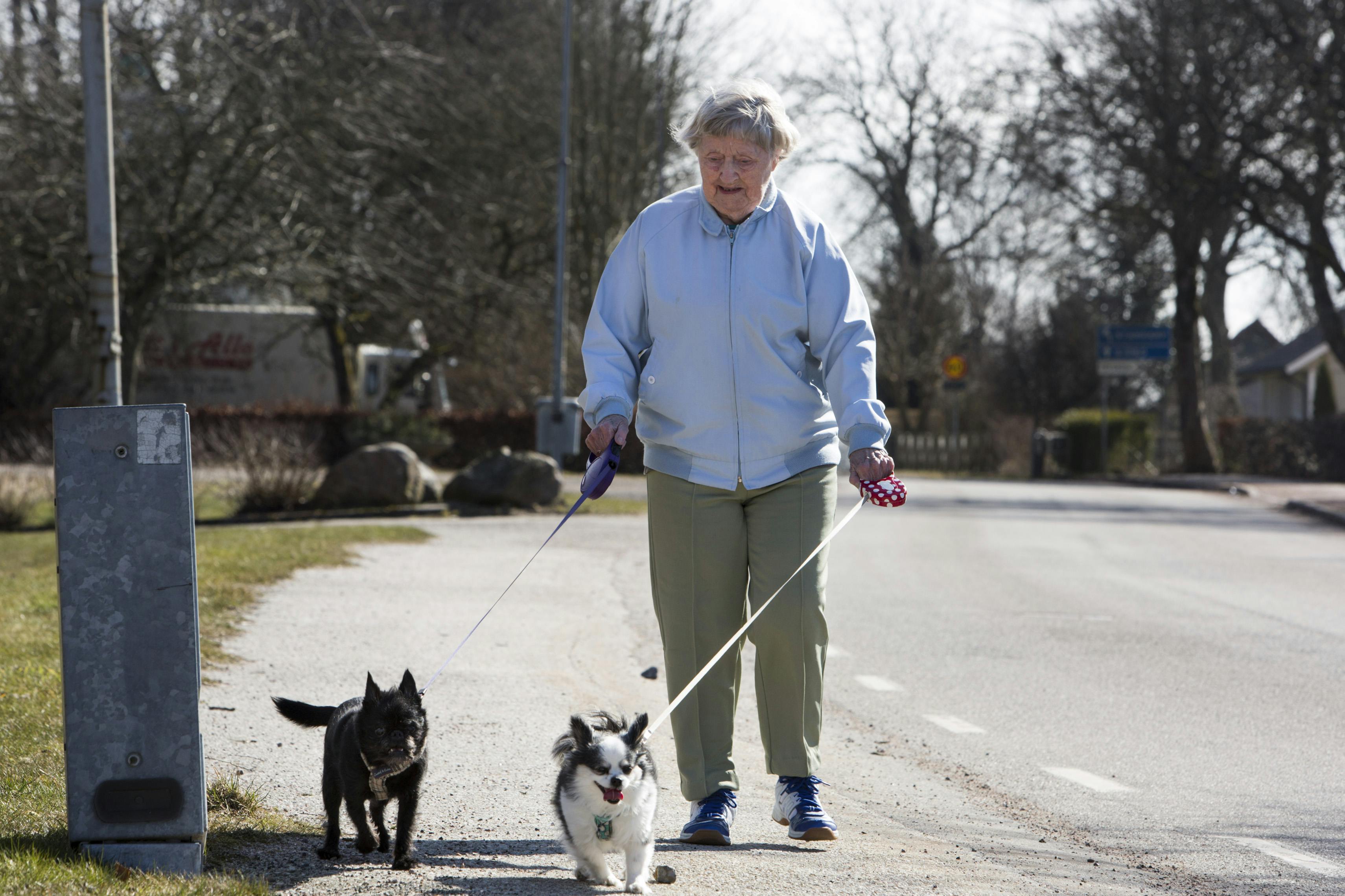 Ældre kvinder går tur langs vejen med to hunde