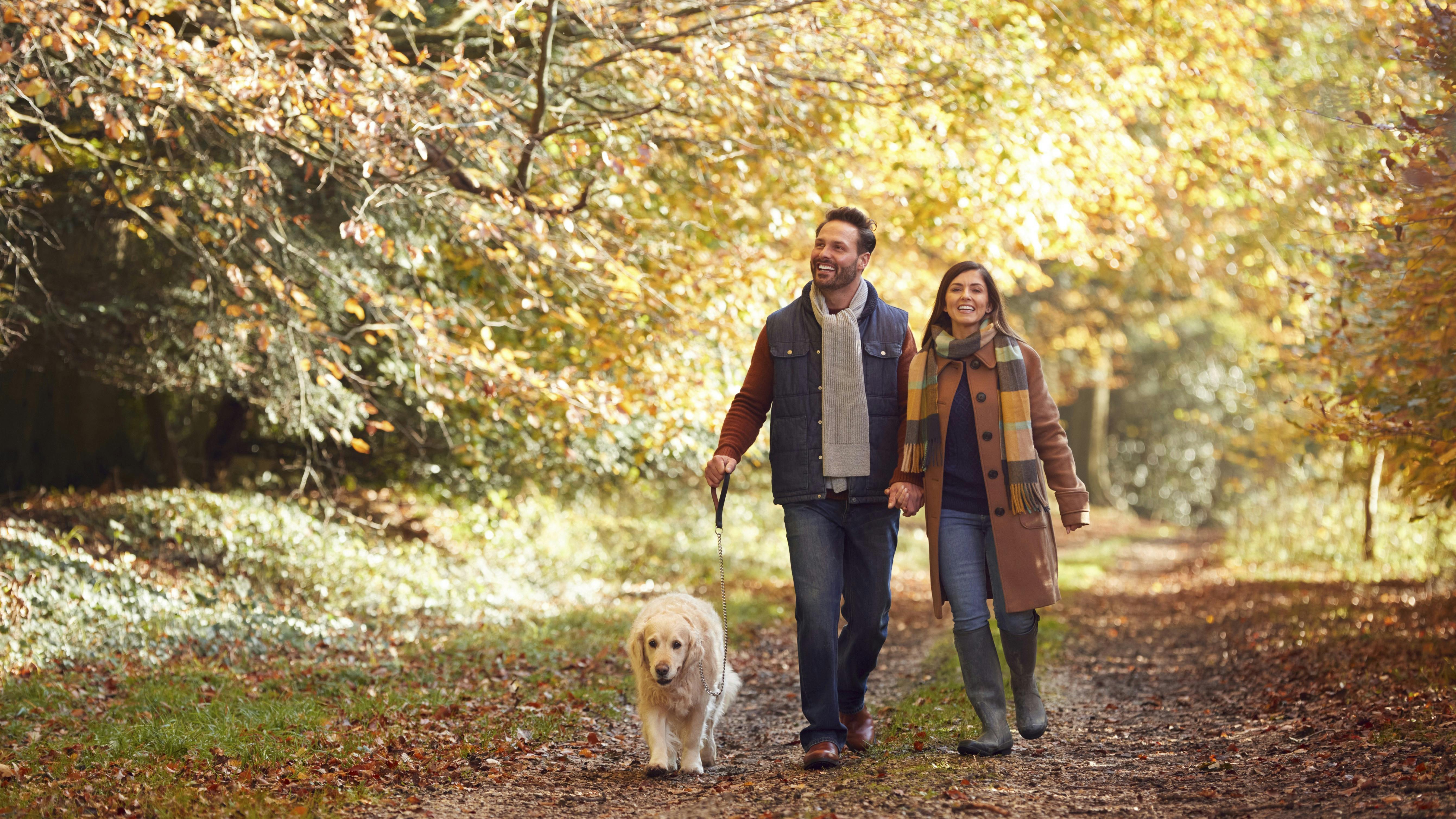 Par med hund i skoven