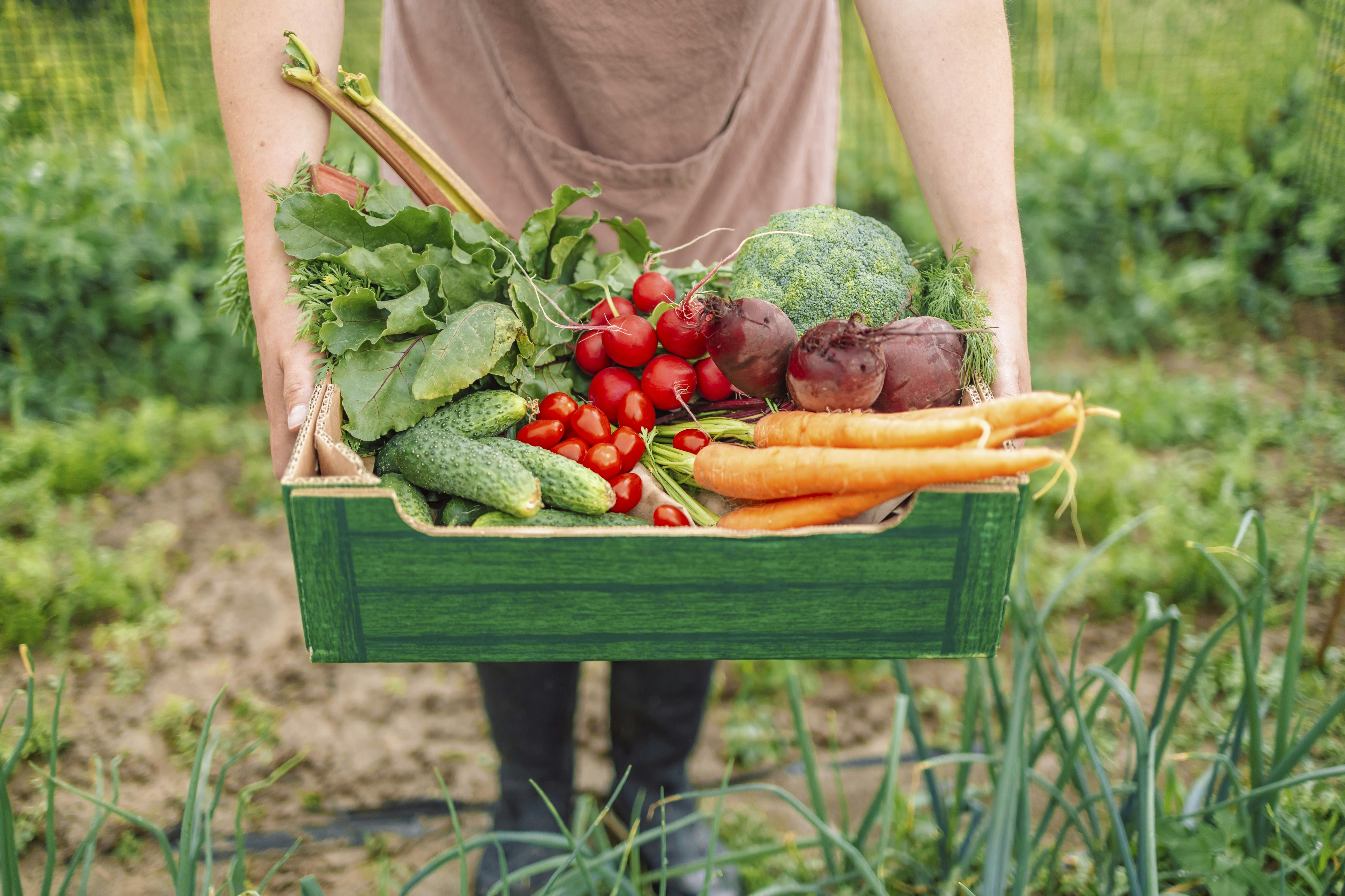 en kurv med grøntsager