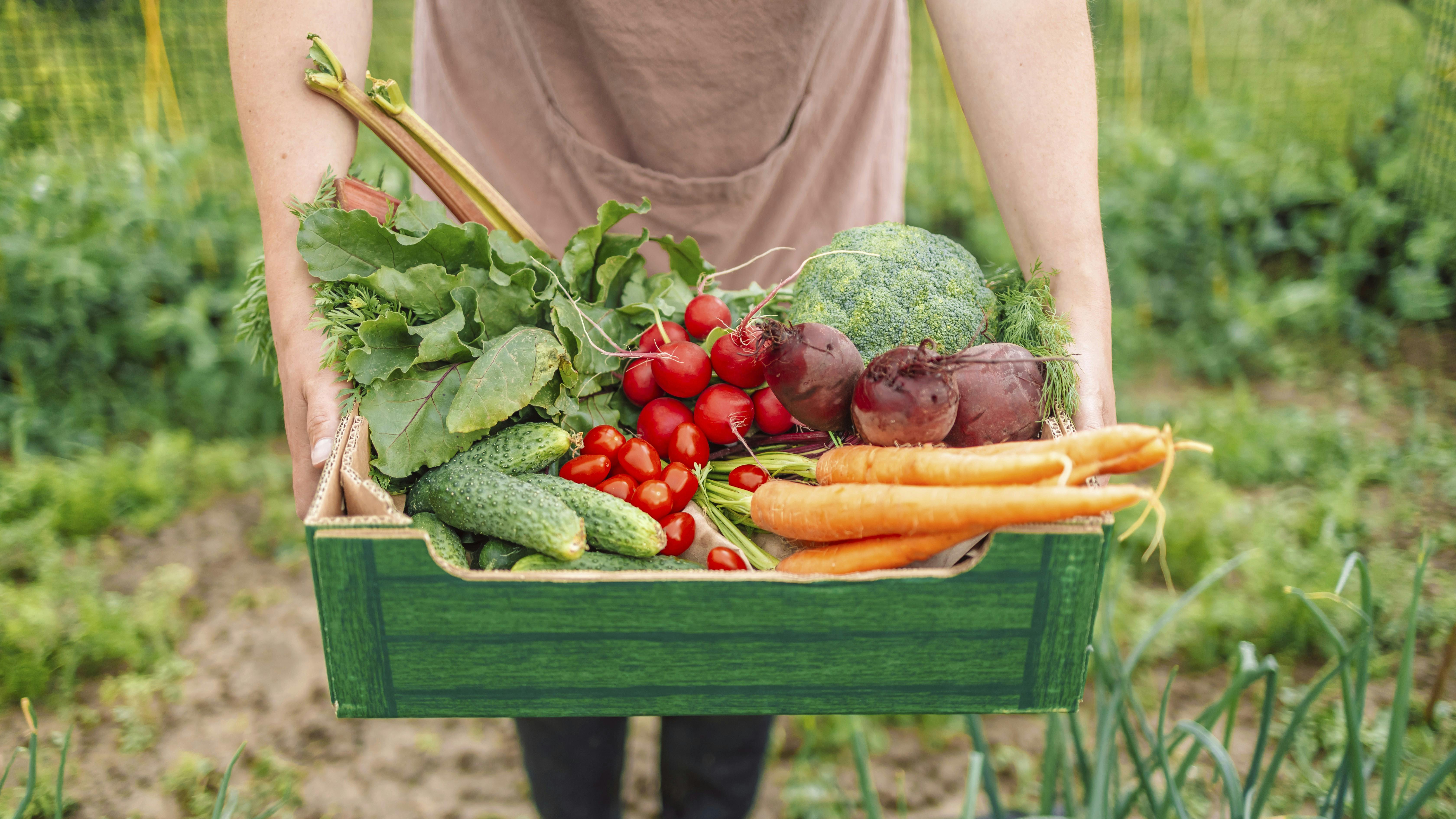 en kurv med grøntsager