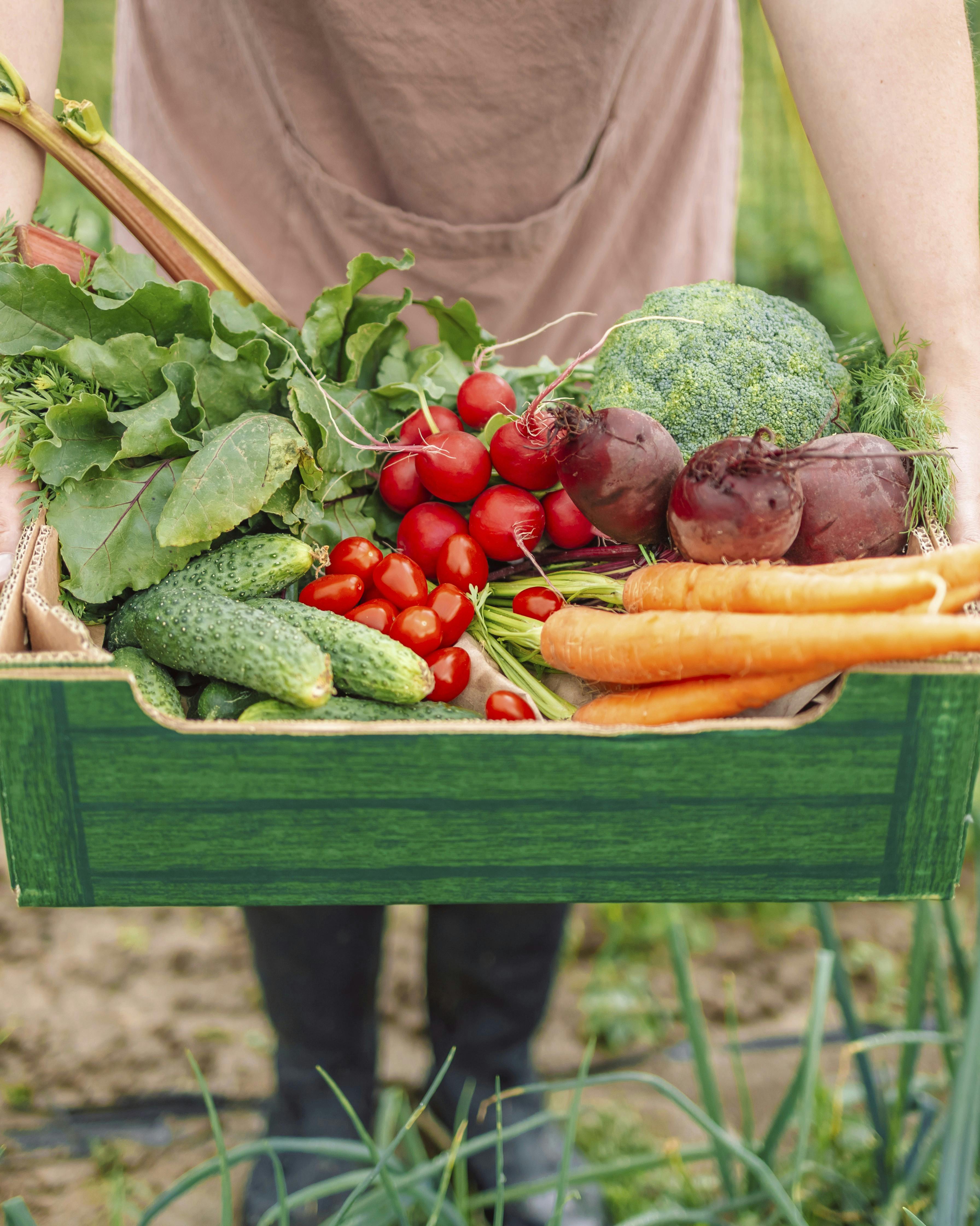 en kurv med grøntsager