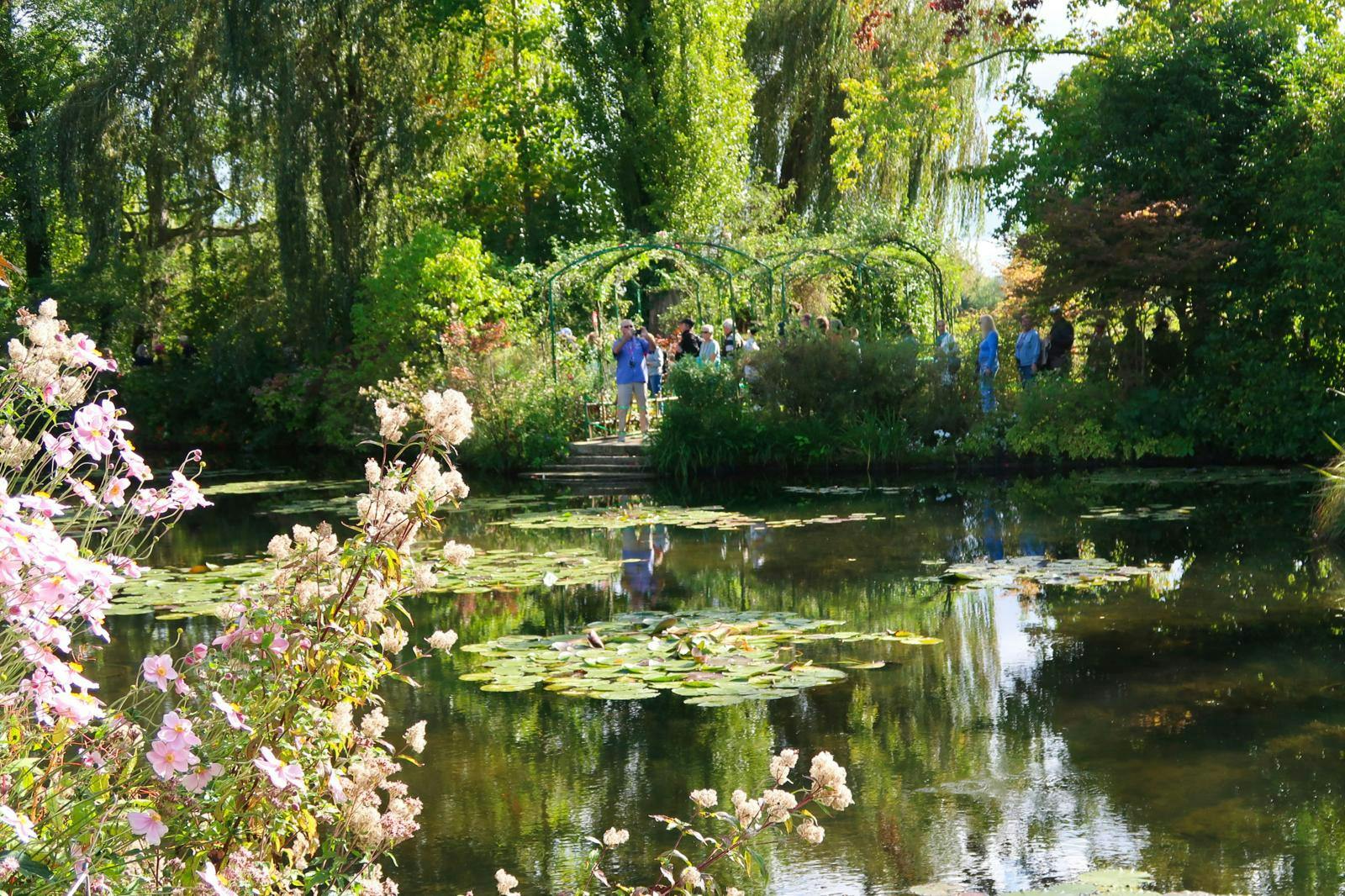 En sø med åkander uden blomster og omgivet af blomstrende buske.