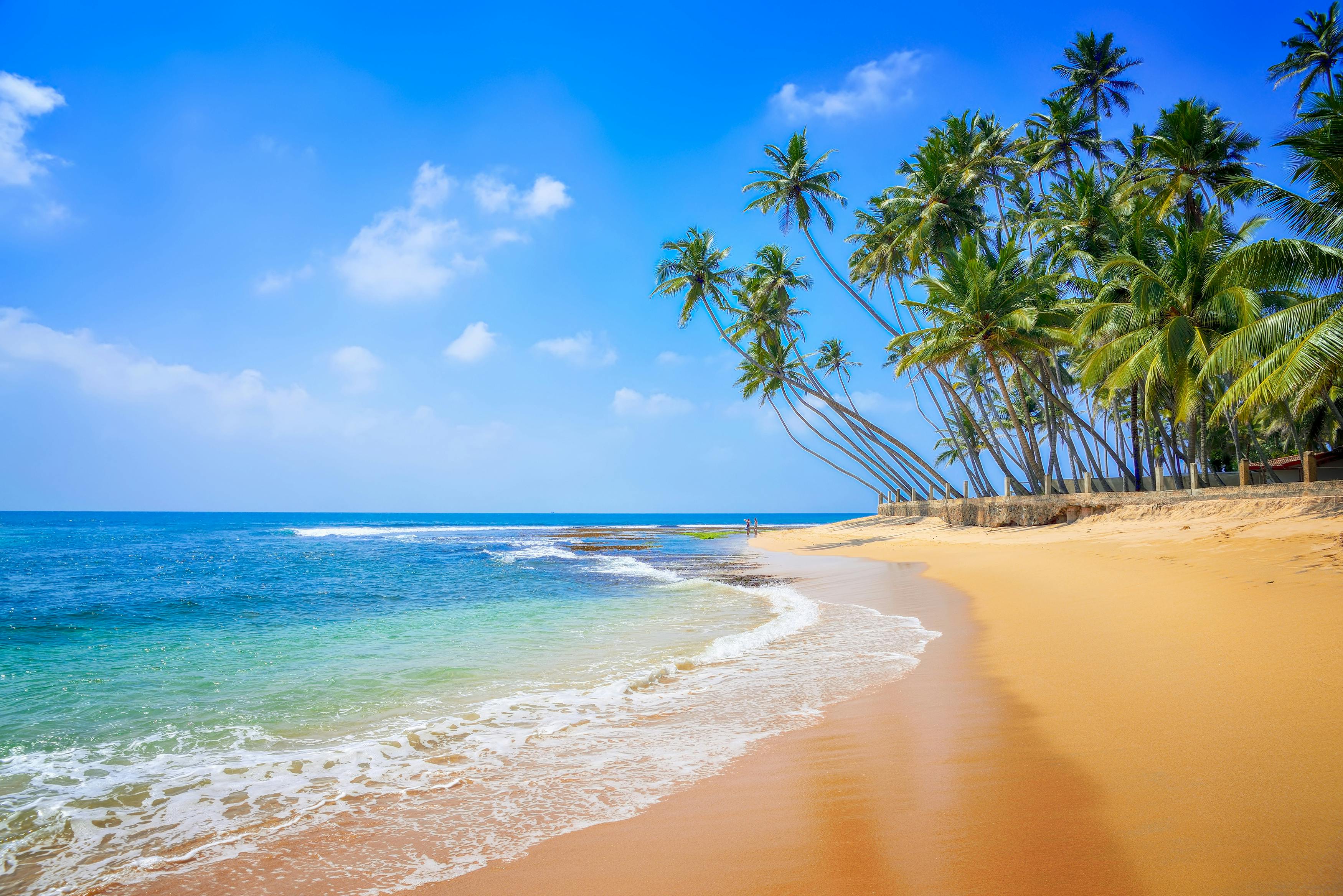 Foto: stock.adobe.com / Smilrejser