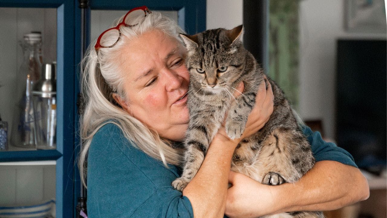 Kvinde krammer en grå kat