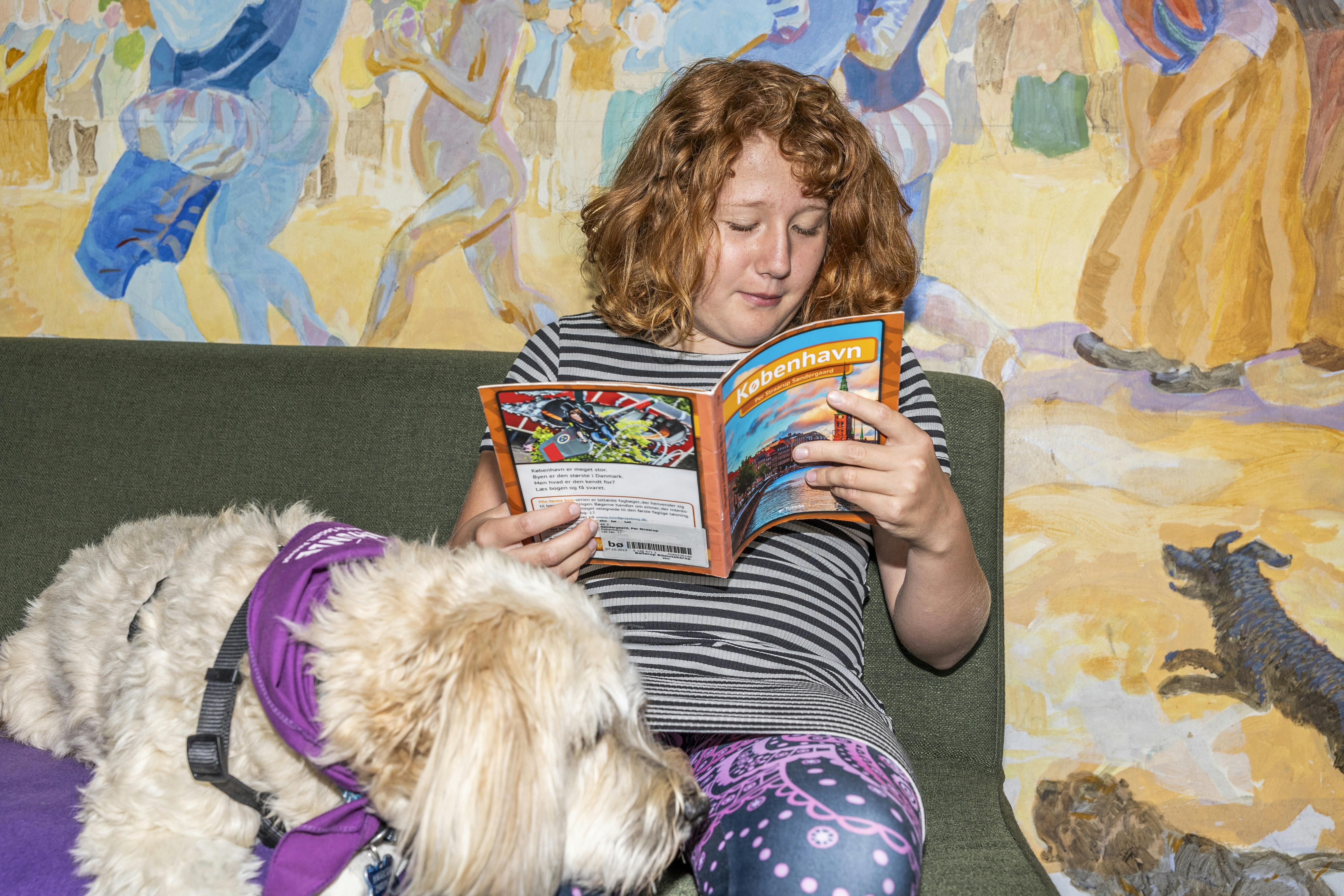 Liv og læsehunden Buddy