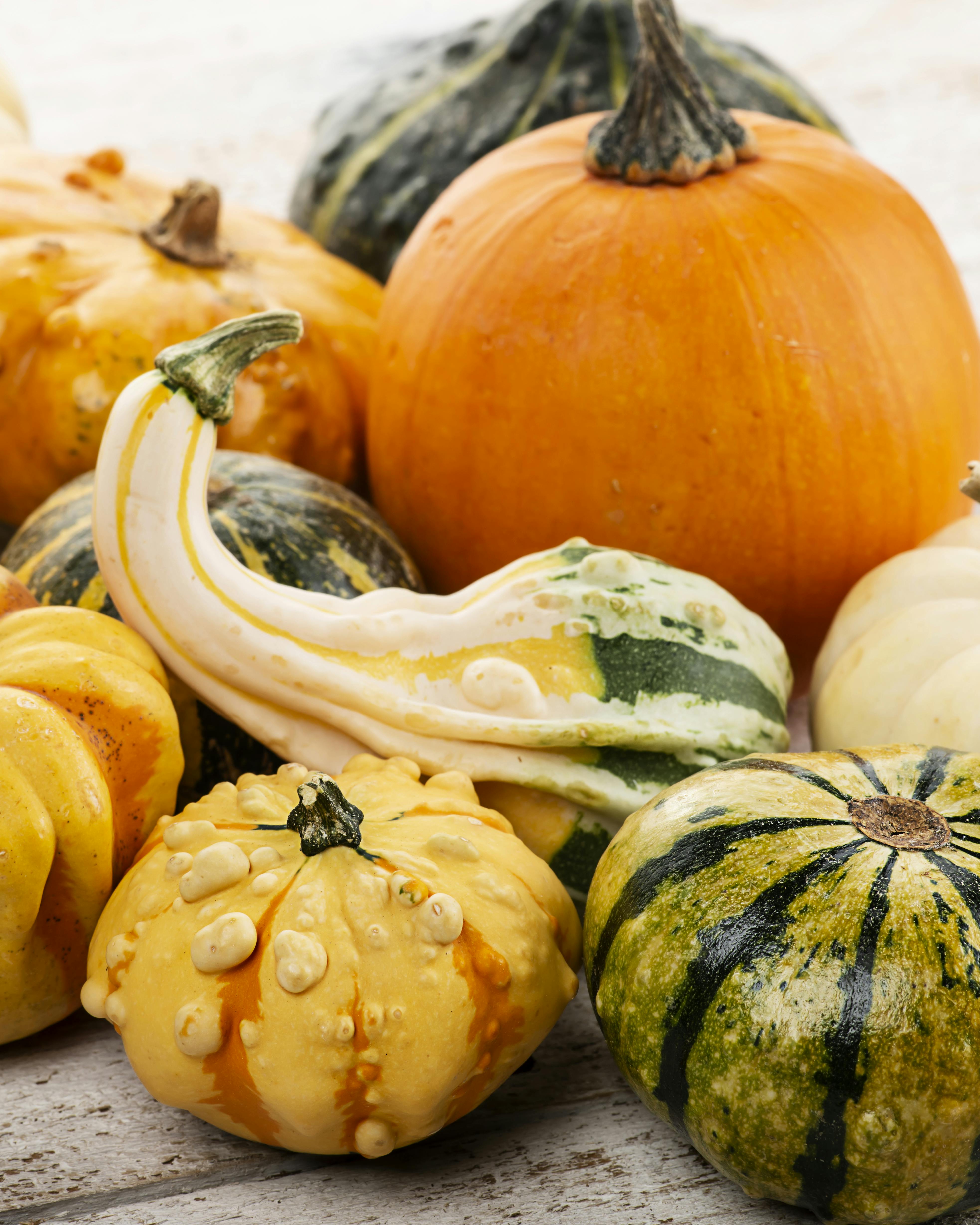 Mange forskellige slags græskar