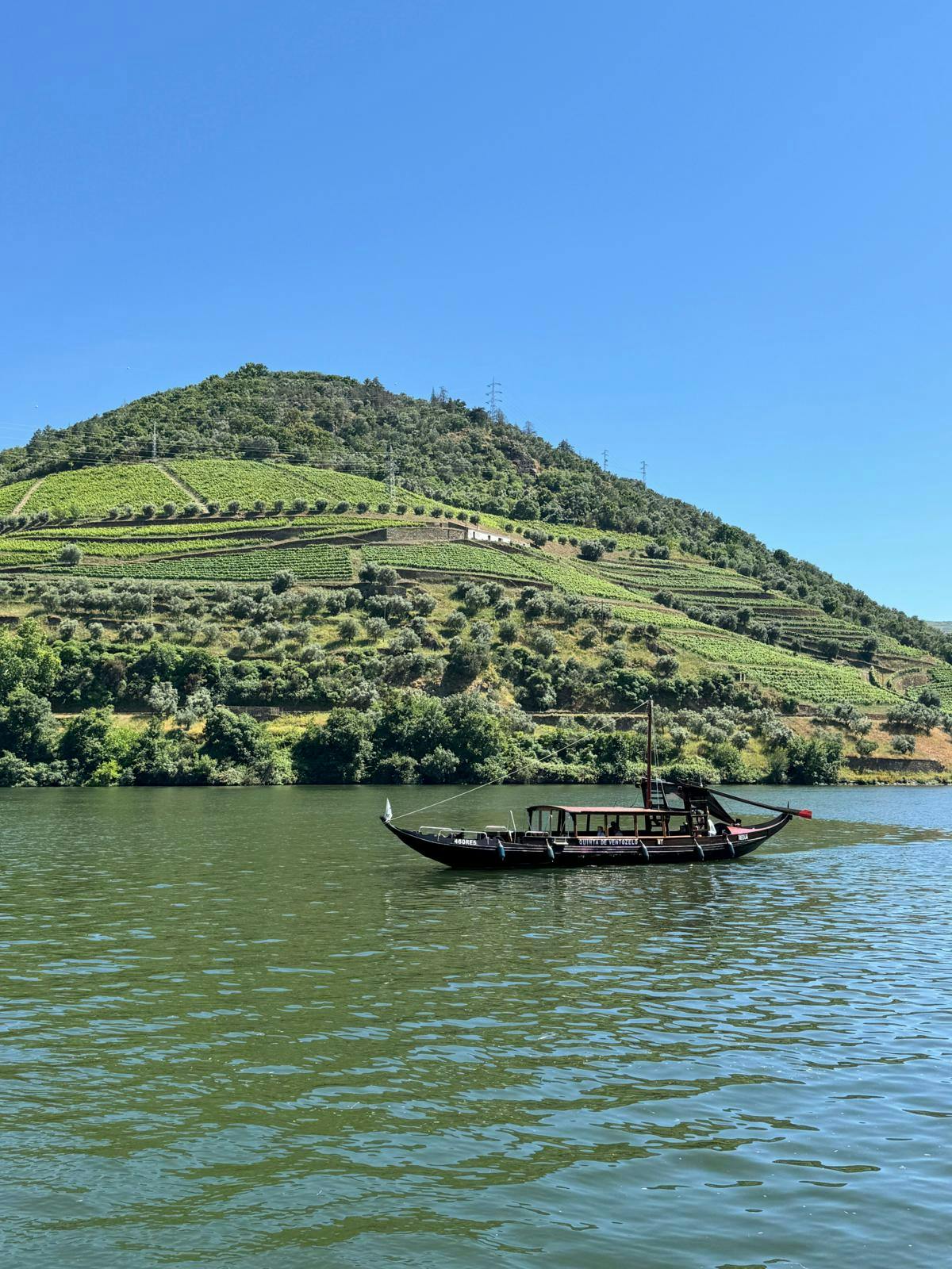 En gammel båd, der sejler i en flod med vinmarker på den ene side.