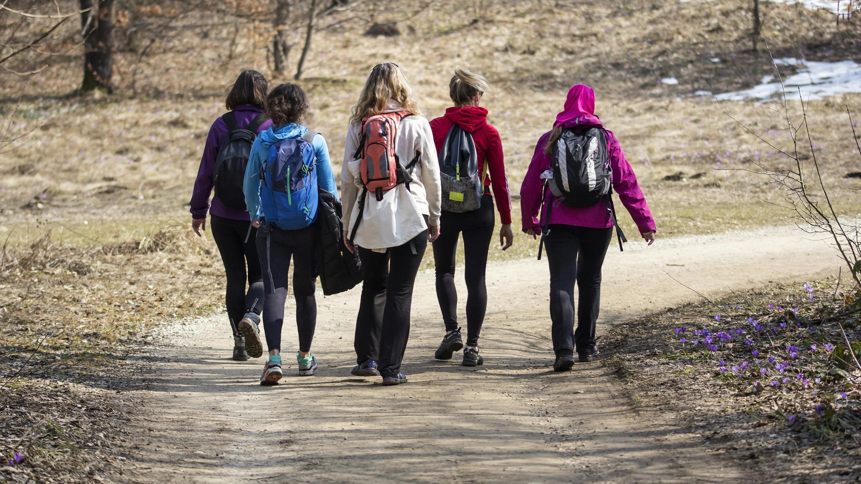 gruppe går i skoven