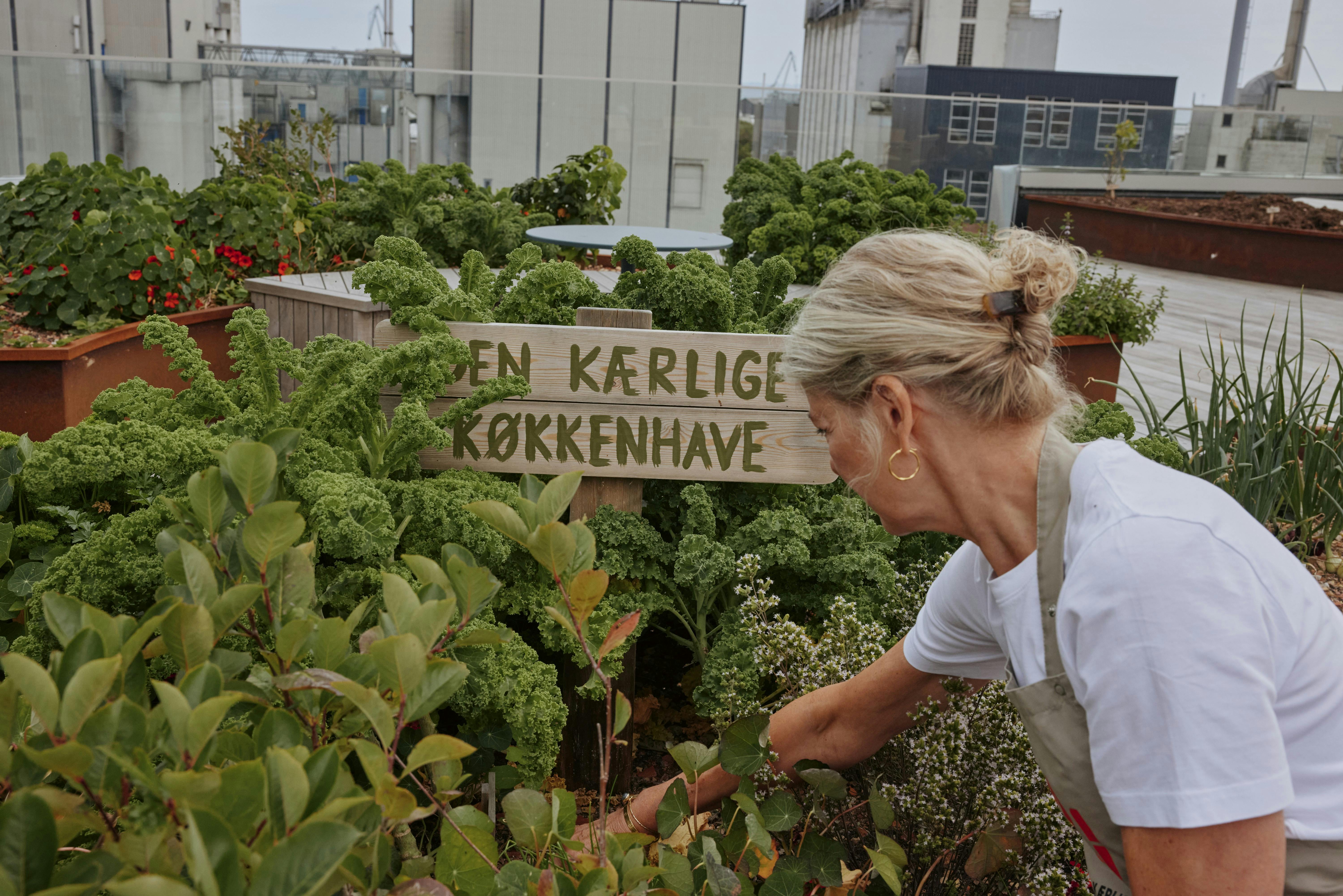 Charlotte Thyberg i køkkenhaven i Aarhus.