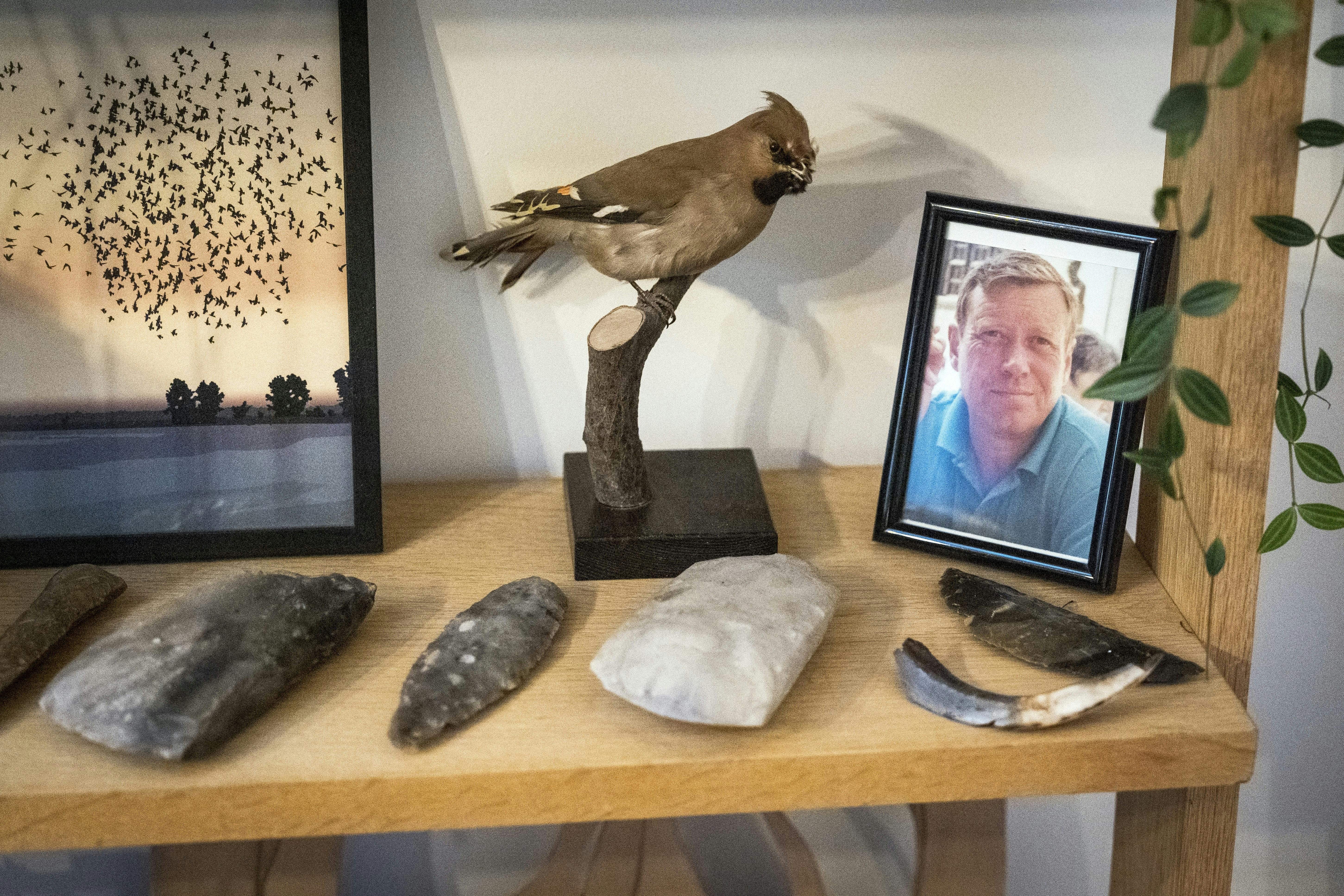 Udstoppet silkehale og billede af faren Leif.