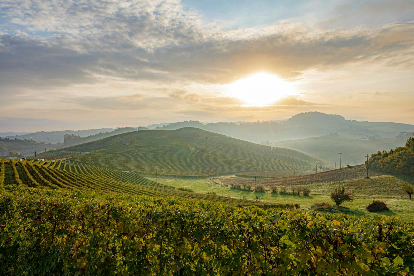 En solopgang over nogle vinmarker i Italien