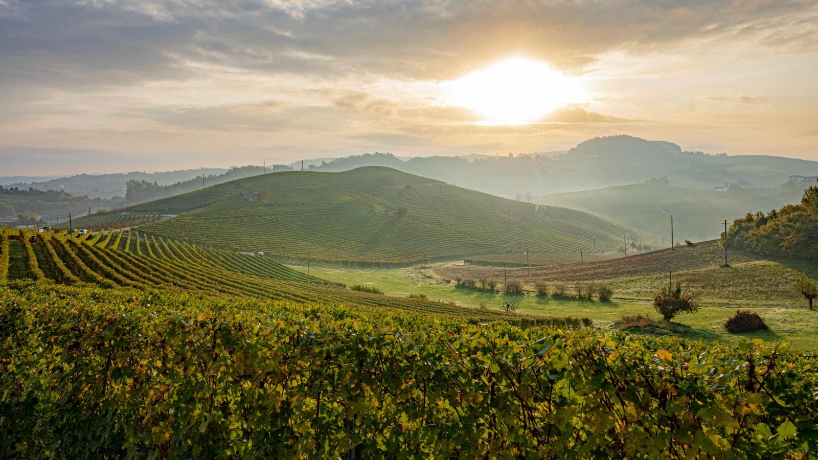 En solopgang over nogle vinmarker i Italien