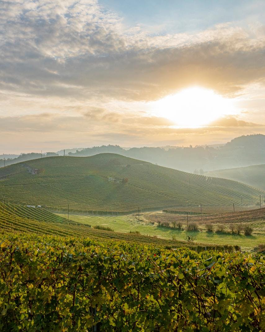 En solopgang over nogle vinmarker i Italien