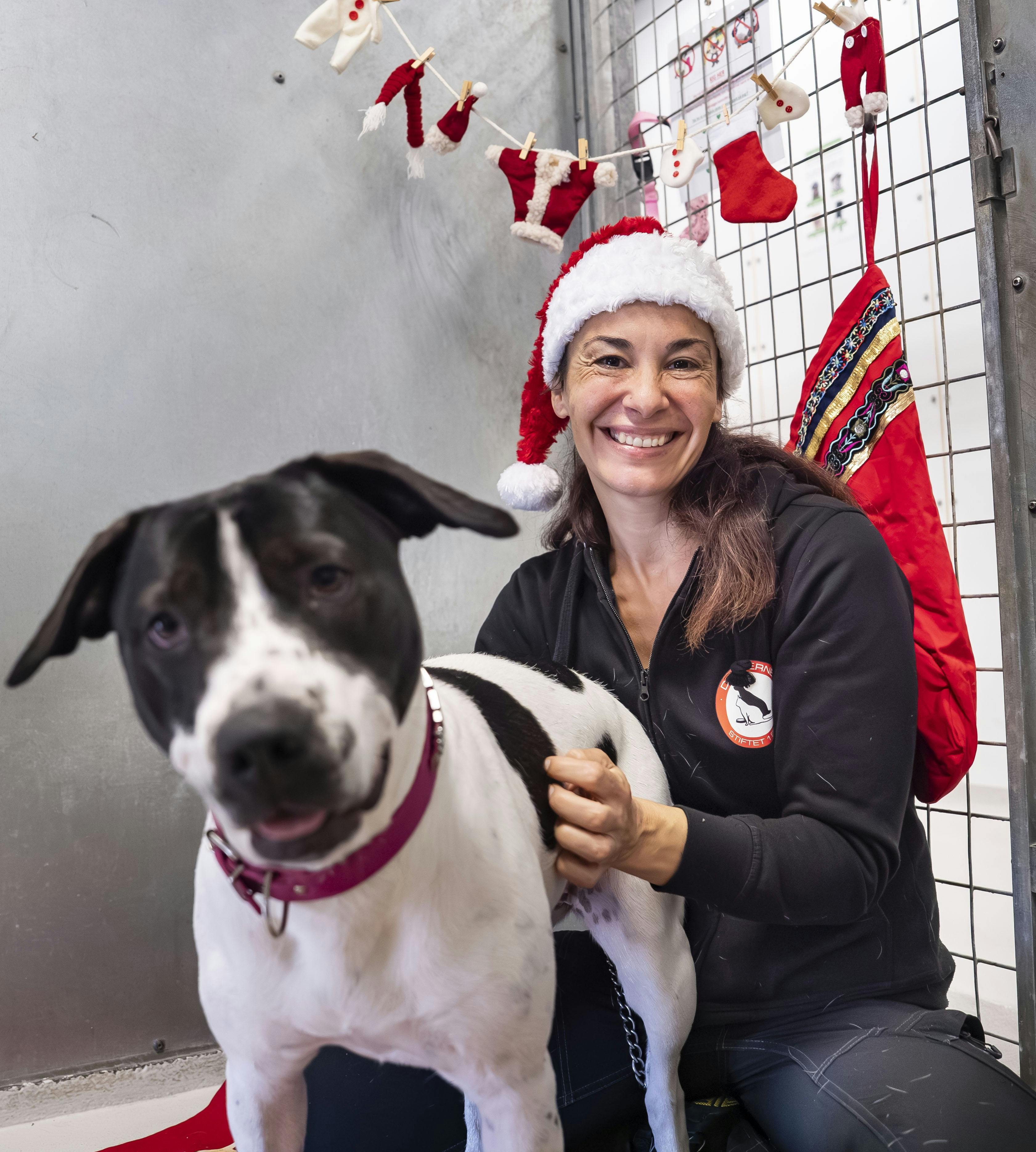 Dyrepasser Céline Dejean med hunden Bente.