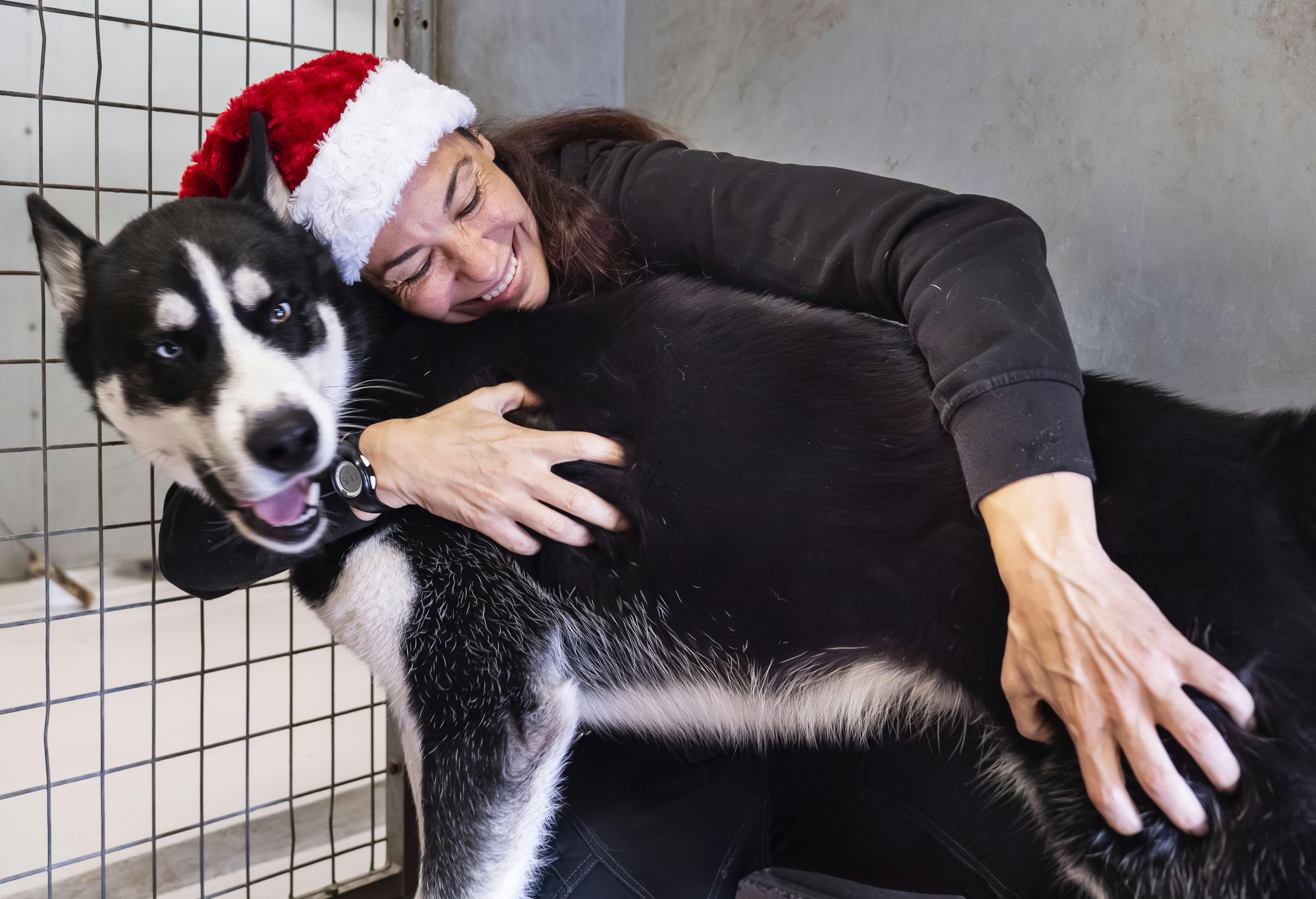 Dyrepasser Céline Dejean giver kram til polarhunden Bente.