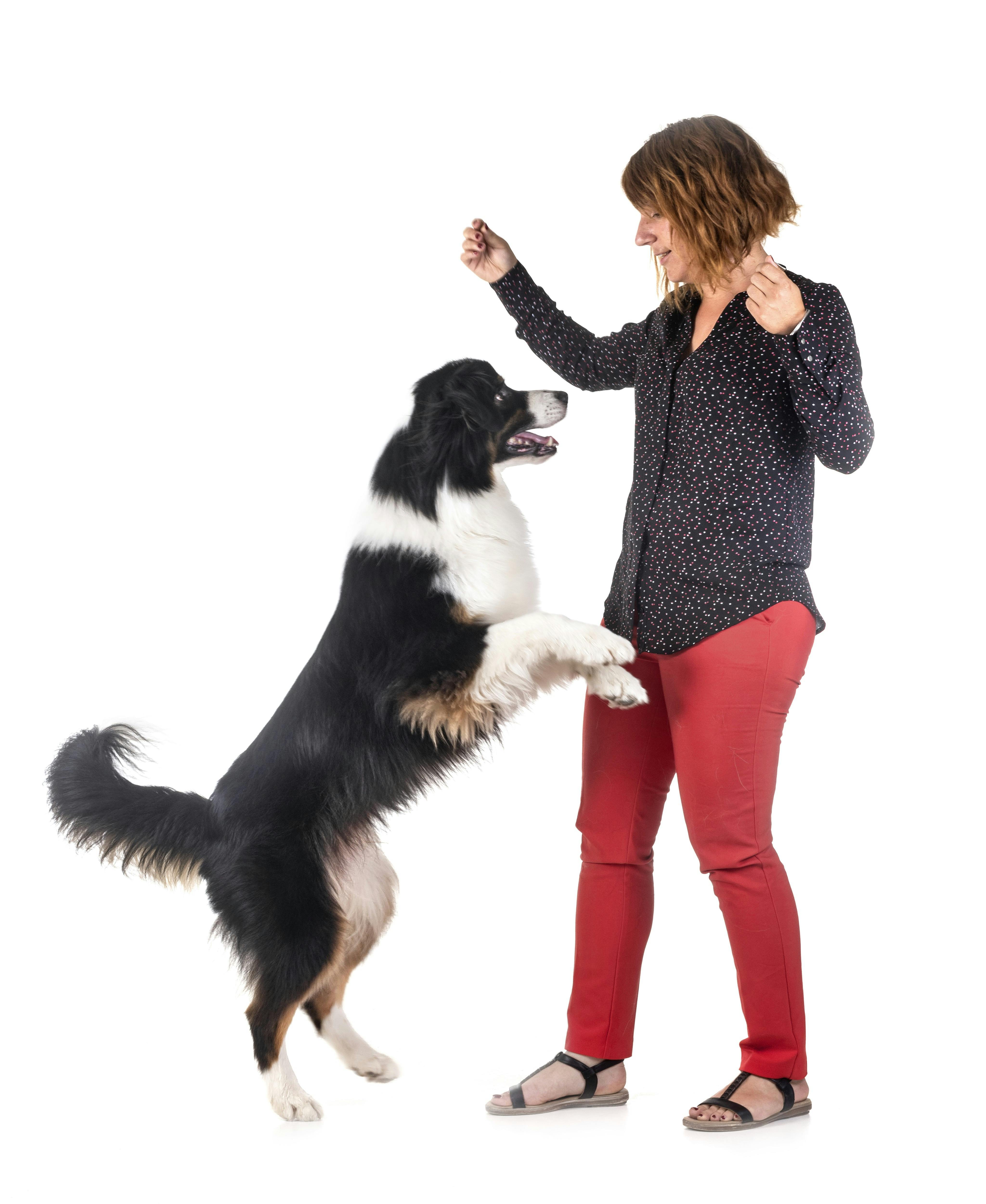 Kan du så komme ned?