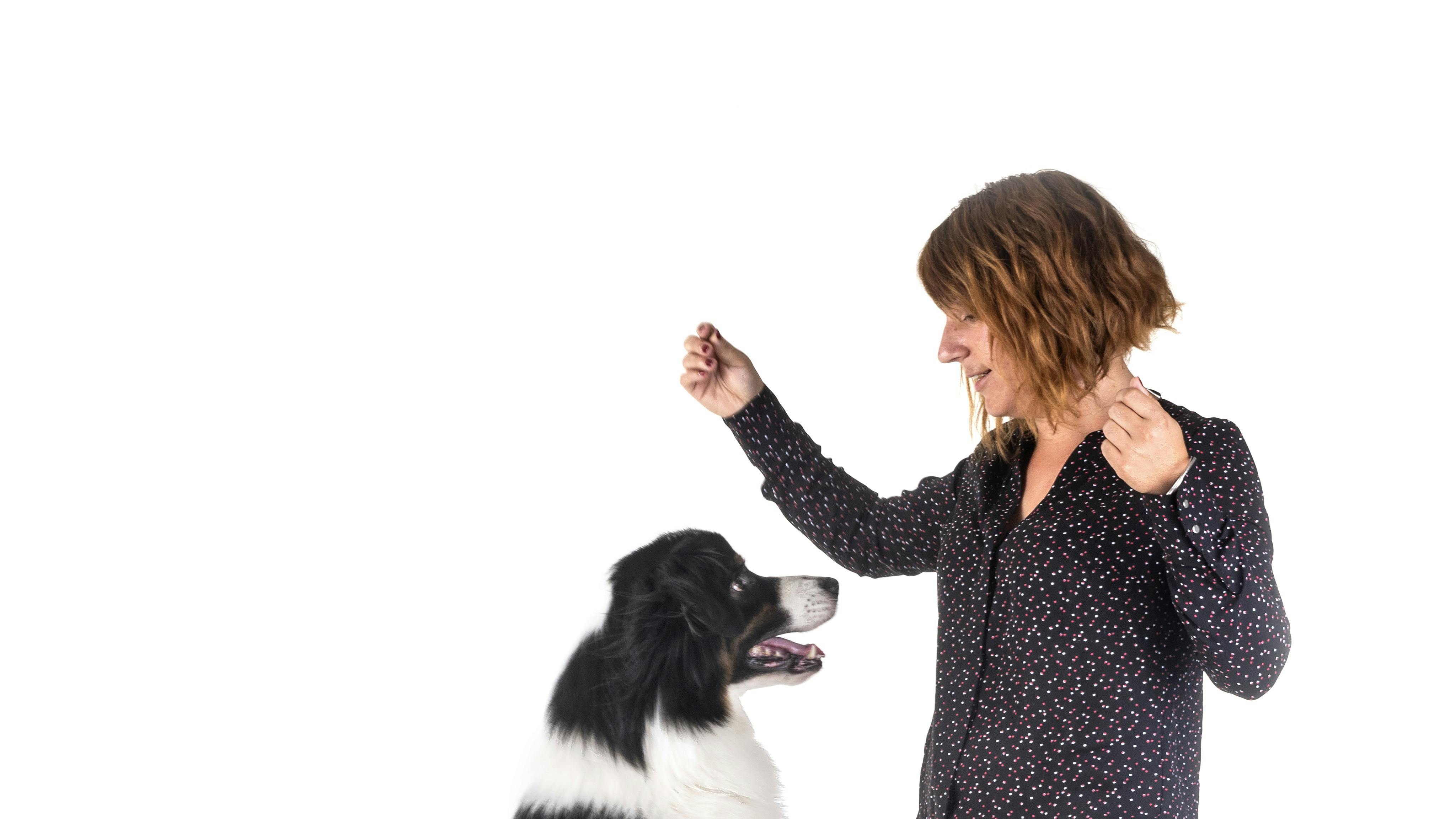 Kan du så komme ned?