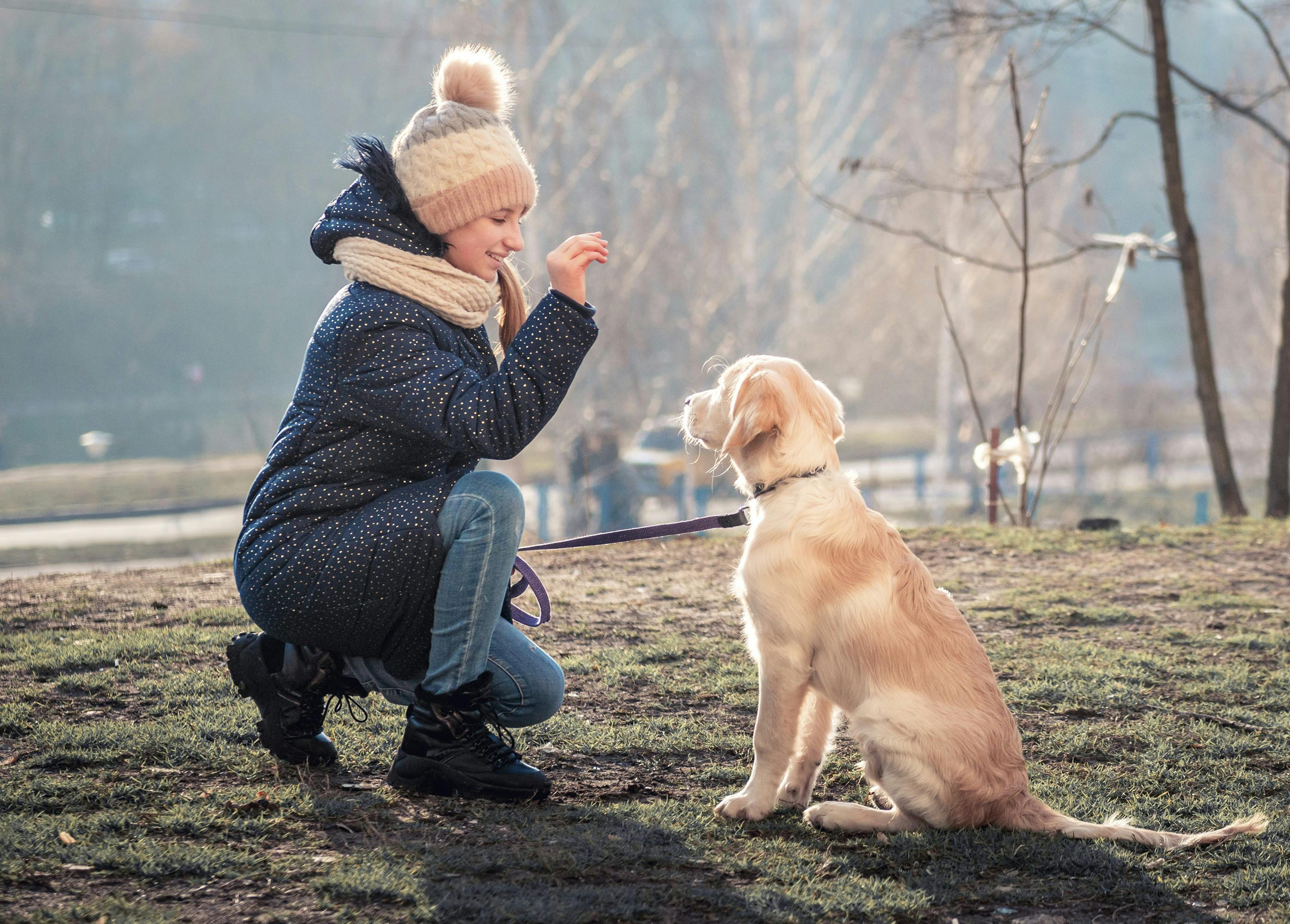 Hunden skal forstå dine signaler, ellers bliver den usikker.