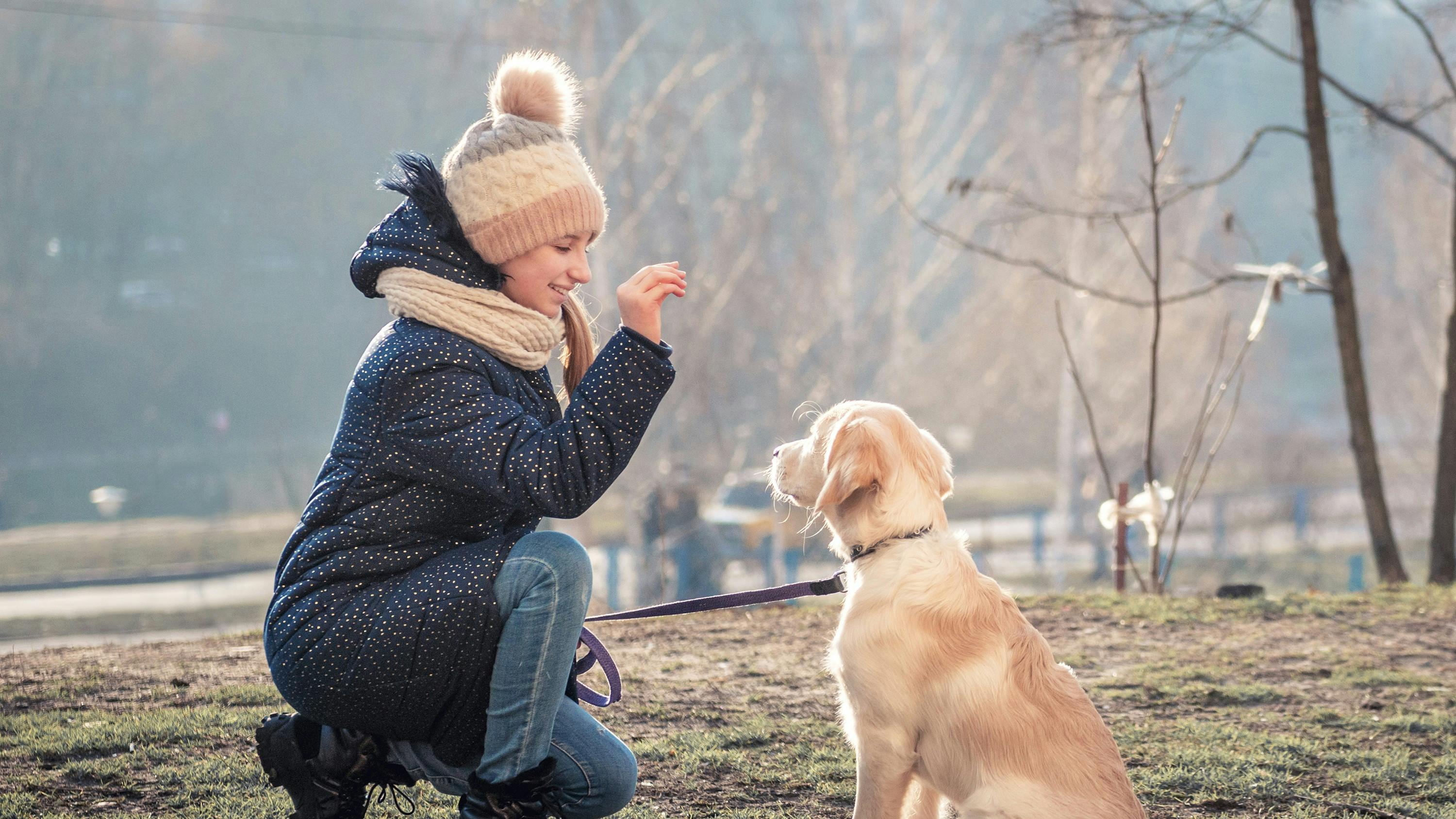 Hunden skal forstå dine signaler, ellers bliver den usikker.