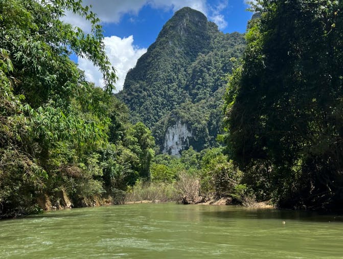 En høj klippe omgivet af træer og grønt vand i forgrunden. 
