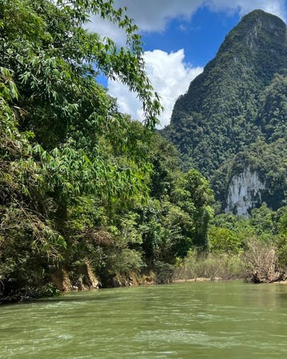 En høj klippe omgivet af træer og grønt vand i forgrunden.