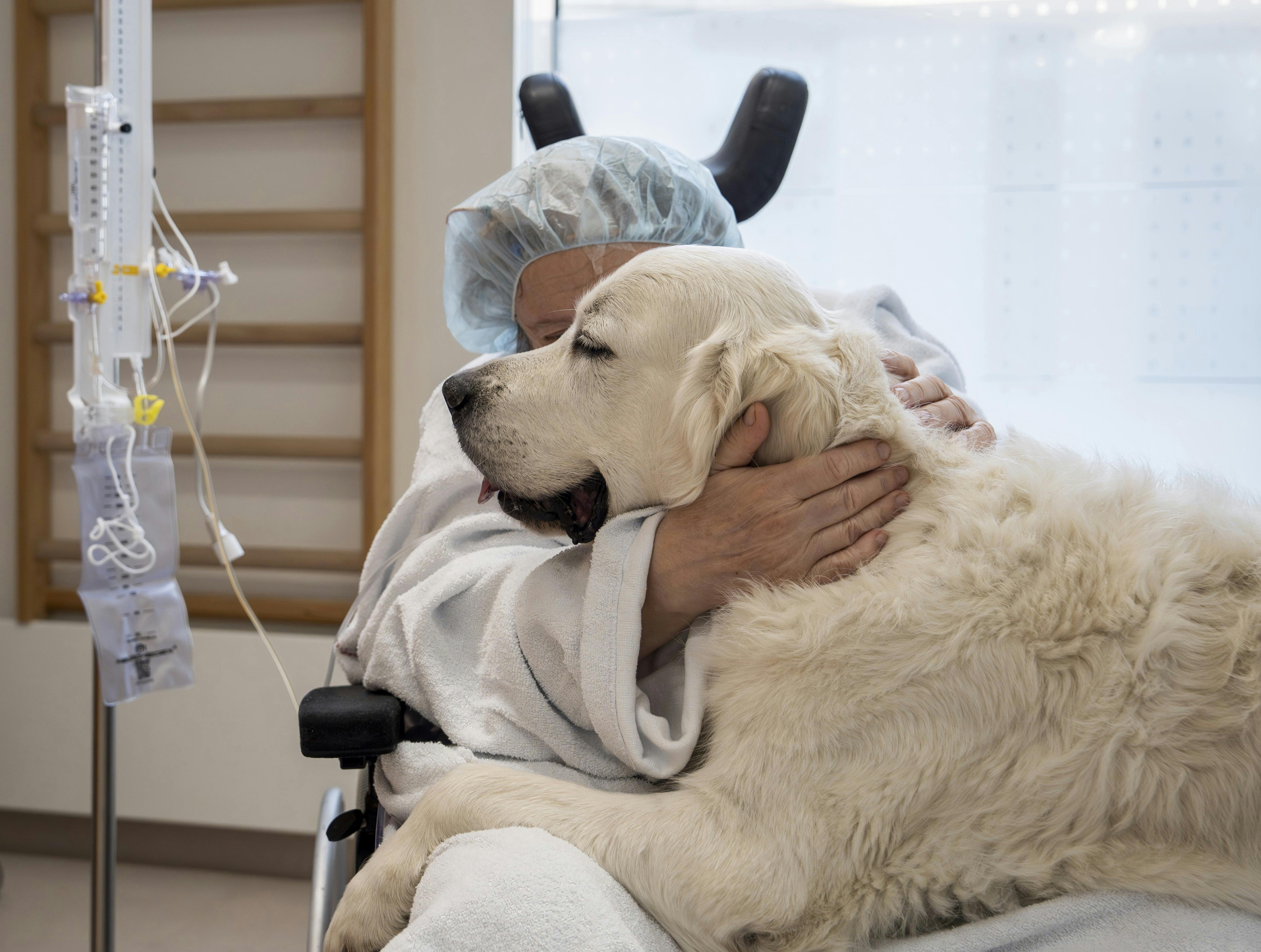 En nyligt hjerneopereret patient på Rigshospitalet får hospitalshunden Snoopy på skødet som et led i genoptræningen.