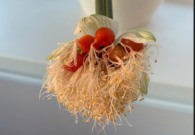 En orange blomst, der ligner en barberkost