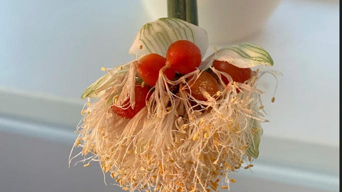 En orange blomst, der ligner en barberkost