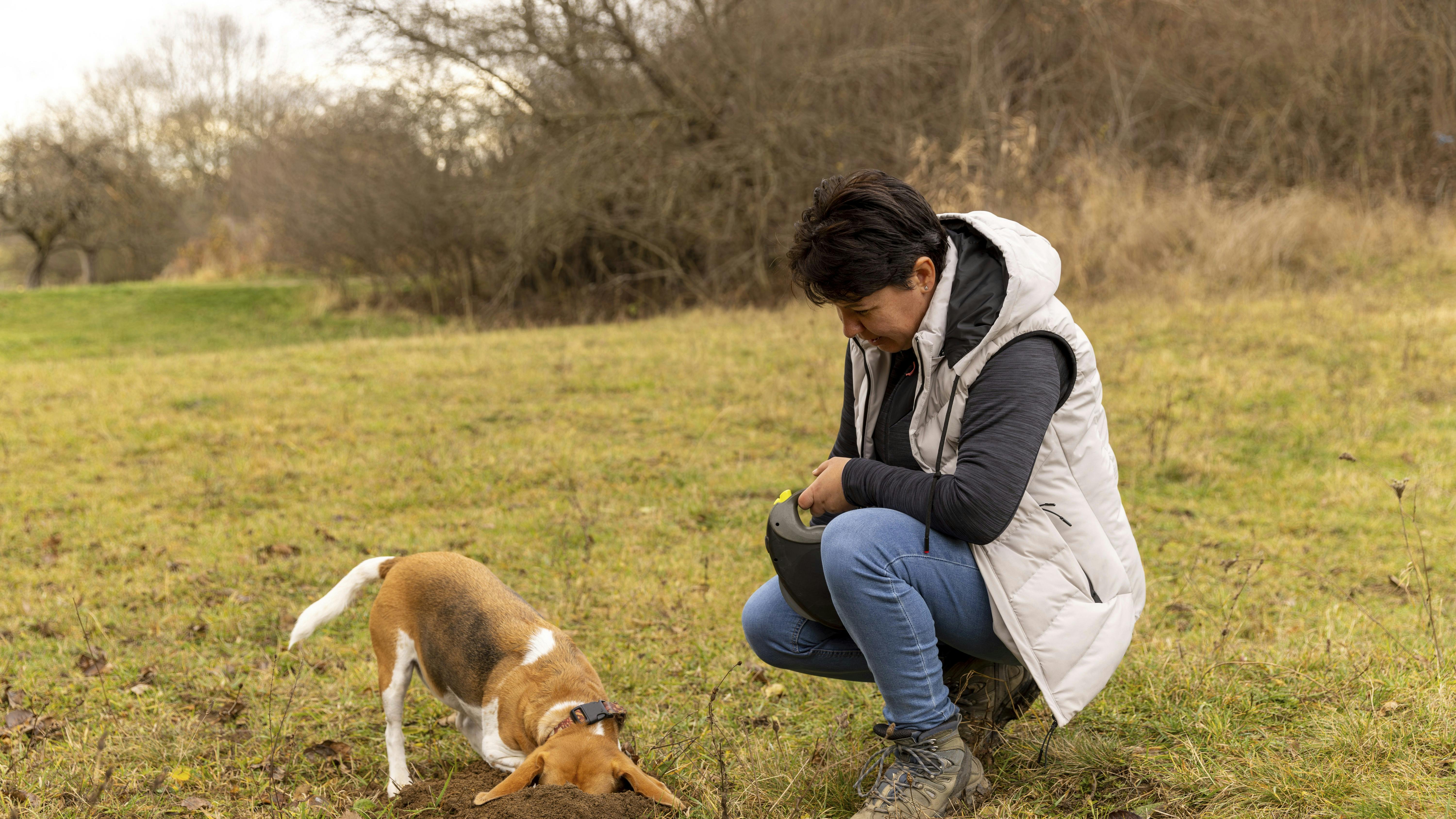 Søg, og du skal finde ... måske en trøffel.